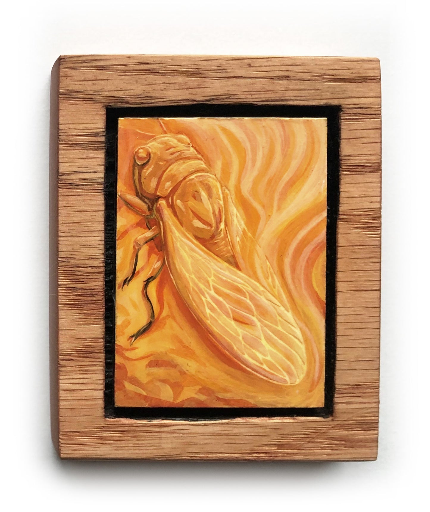 Andrew Ghrist - Cicada 2