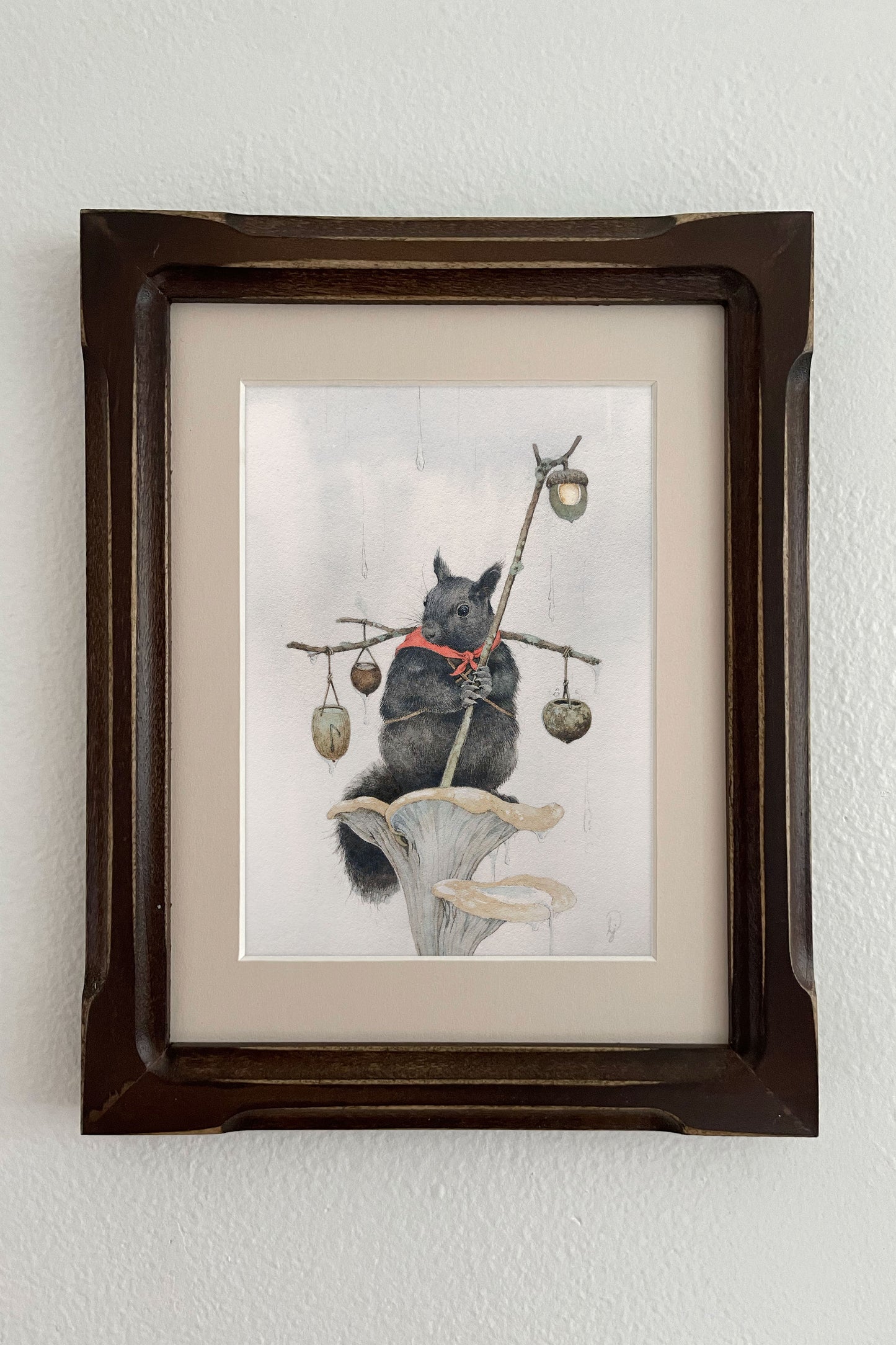 Lily Seika Jones - The Rain Collector