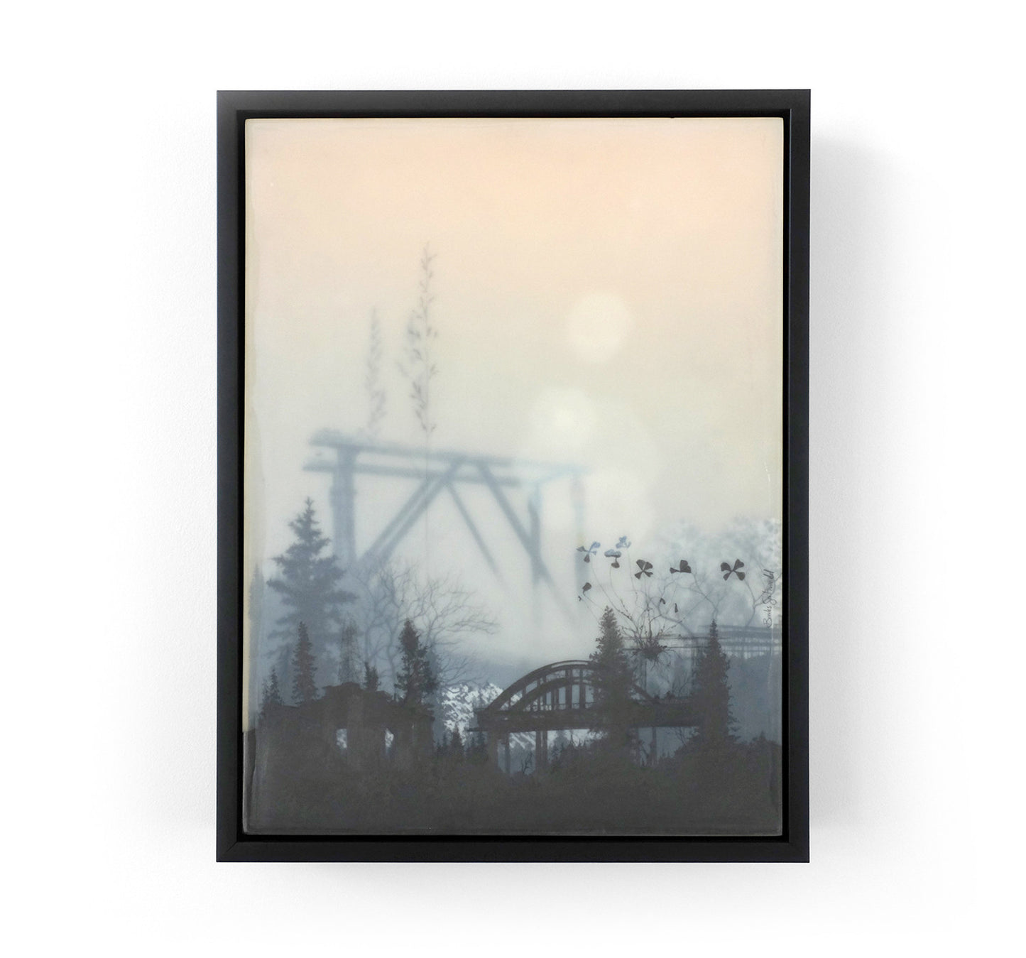 Brooks Salzwedel - Bridges and Weeds