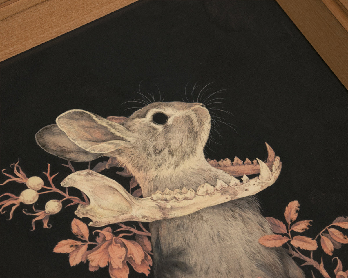 Teagan White - Chalk, Loam, Dust, Bone