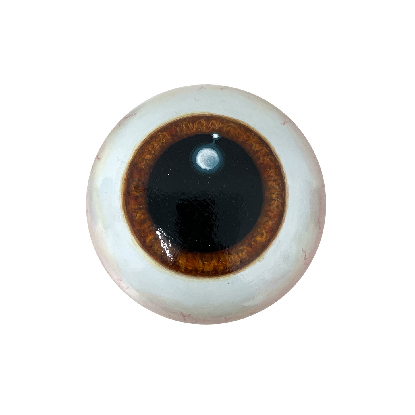 C1 - Casey Weldon Mushroom 1