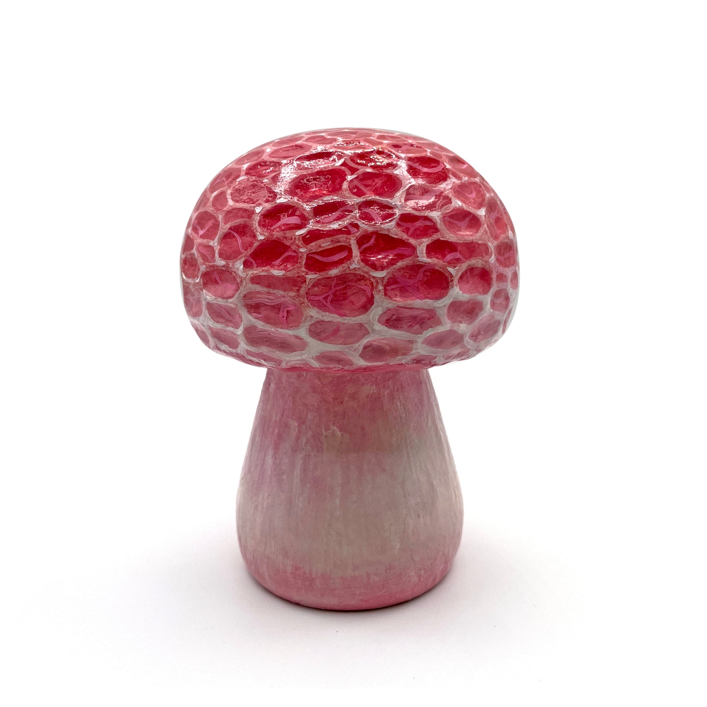 C1 - Nicole Duennebier Mushroom