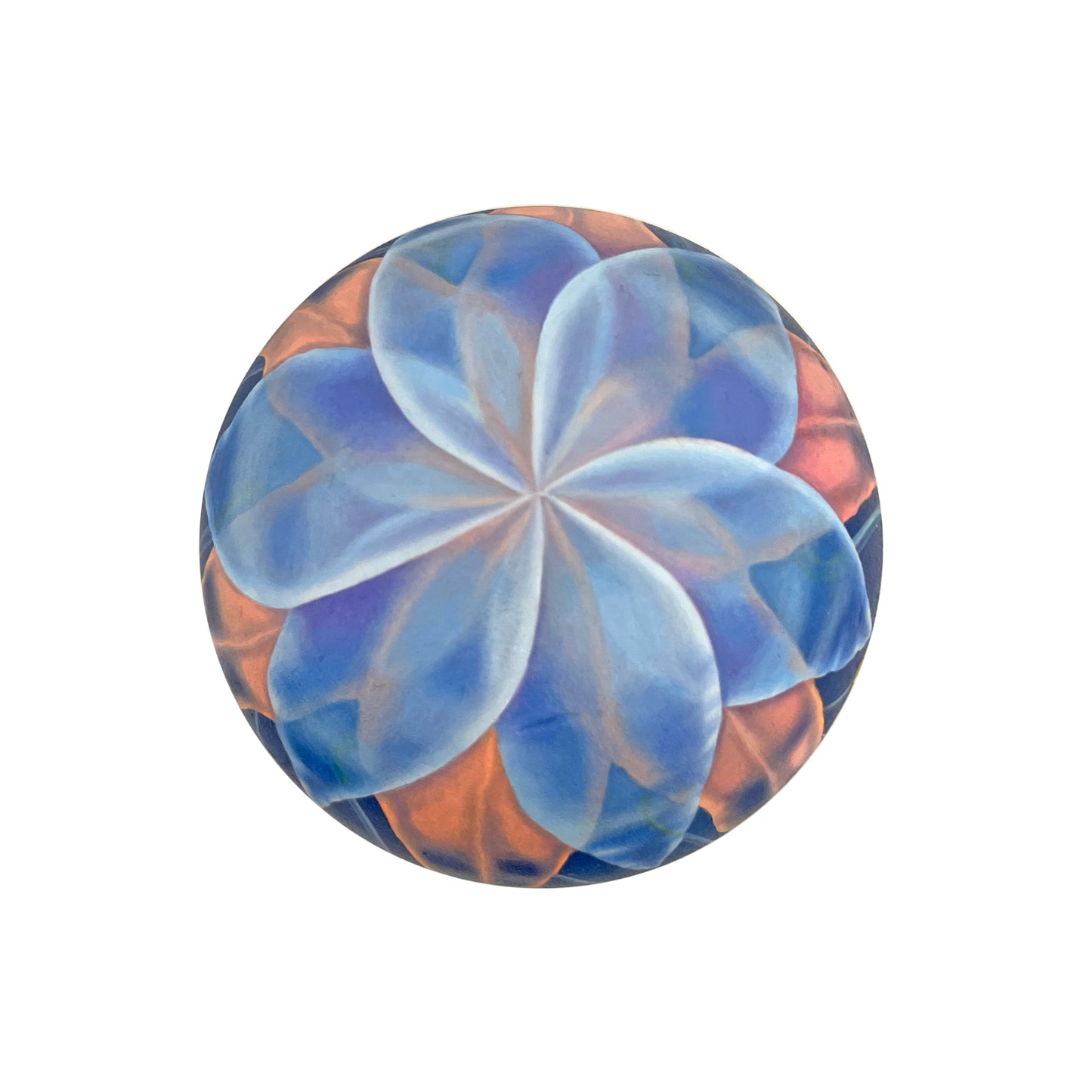 C1 - Chloe Niclas Mushroom