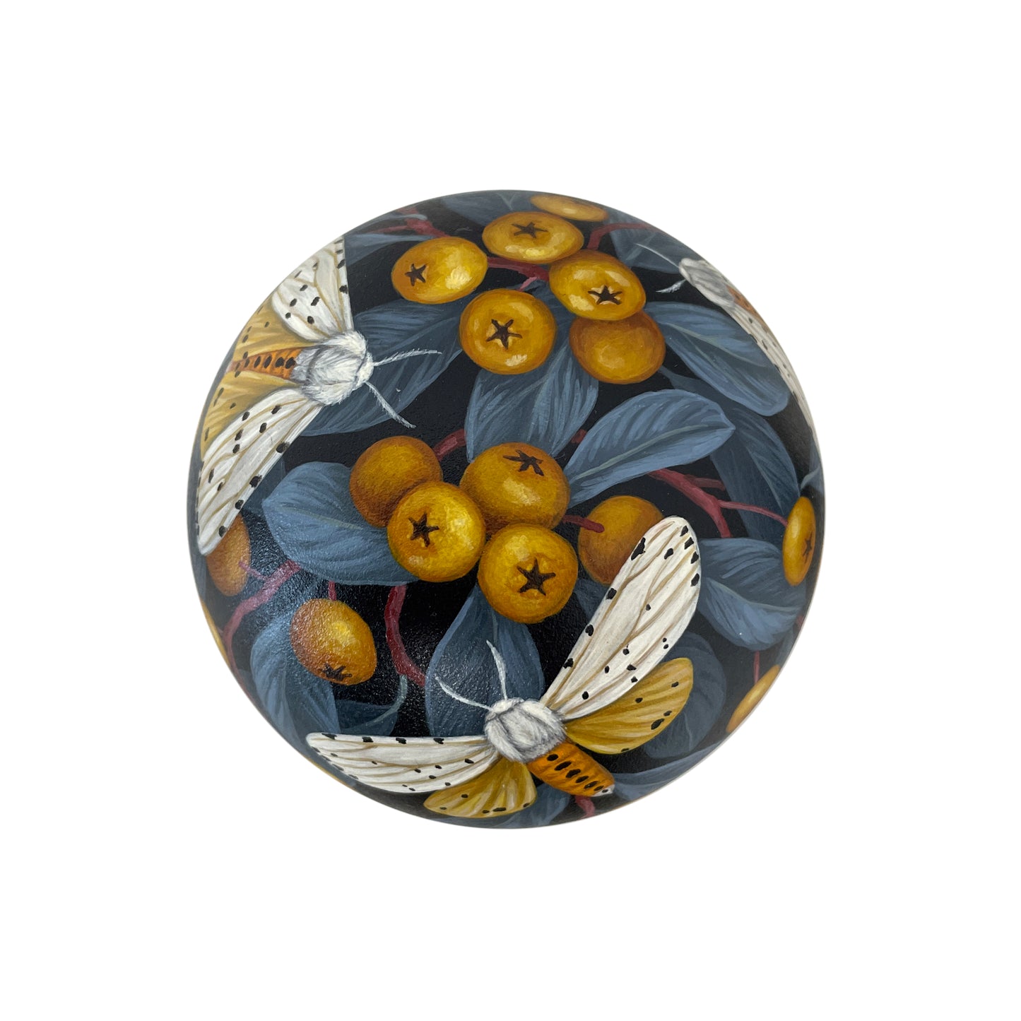 C1 - Vasilisa Romanenko Mushroom