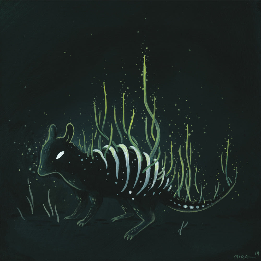 Miranda Zimmerman - Cordyceps