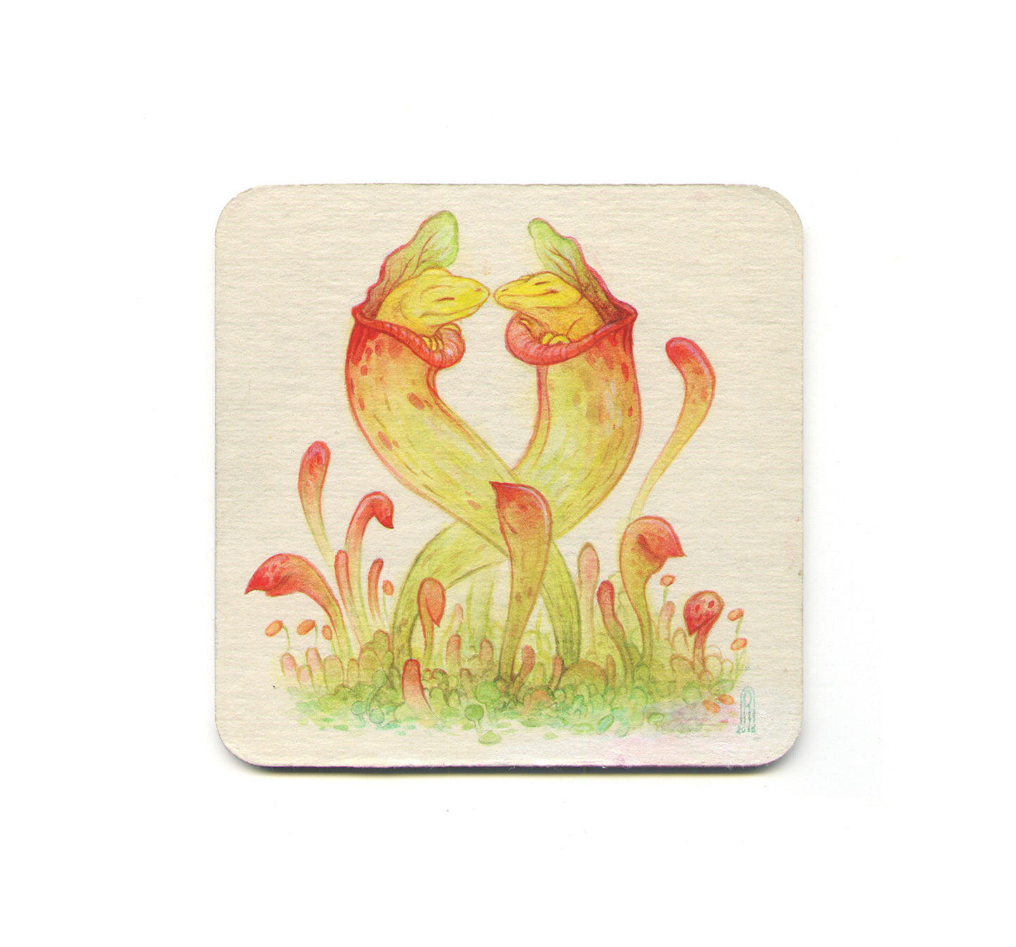 S1 Corinne Reid - 1 Coaster