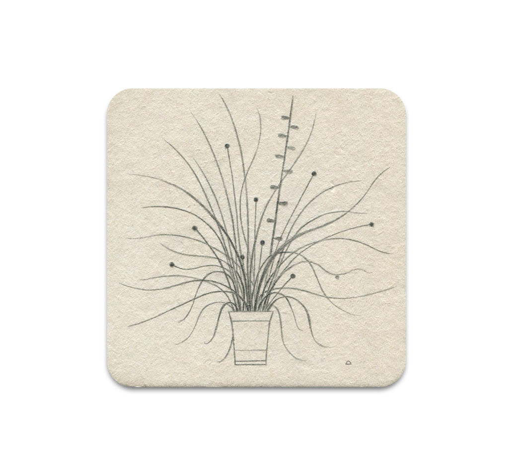 S3 Dadu Shin - Untitled 2 Coaster