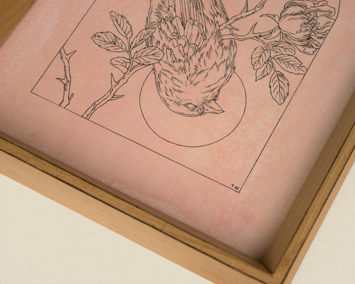 Teagan White - Dying Dreams