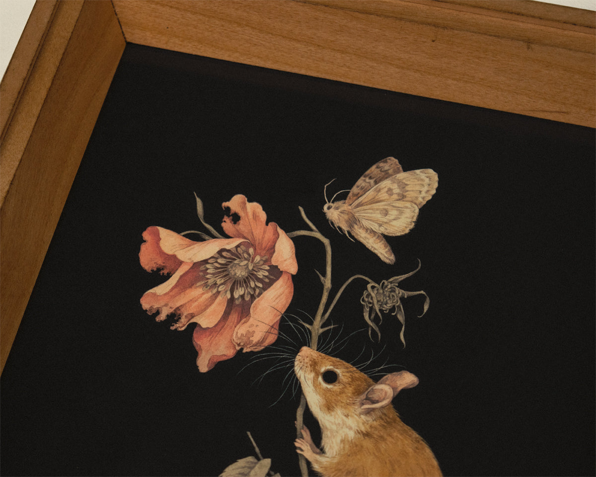 Teagan White - Futile Offerings