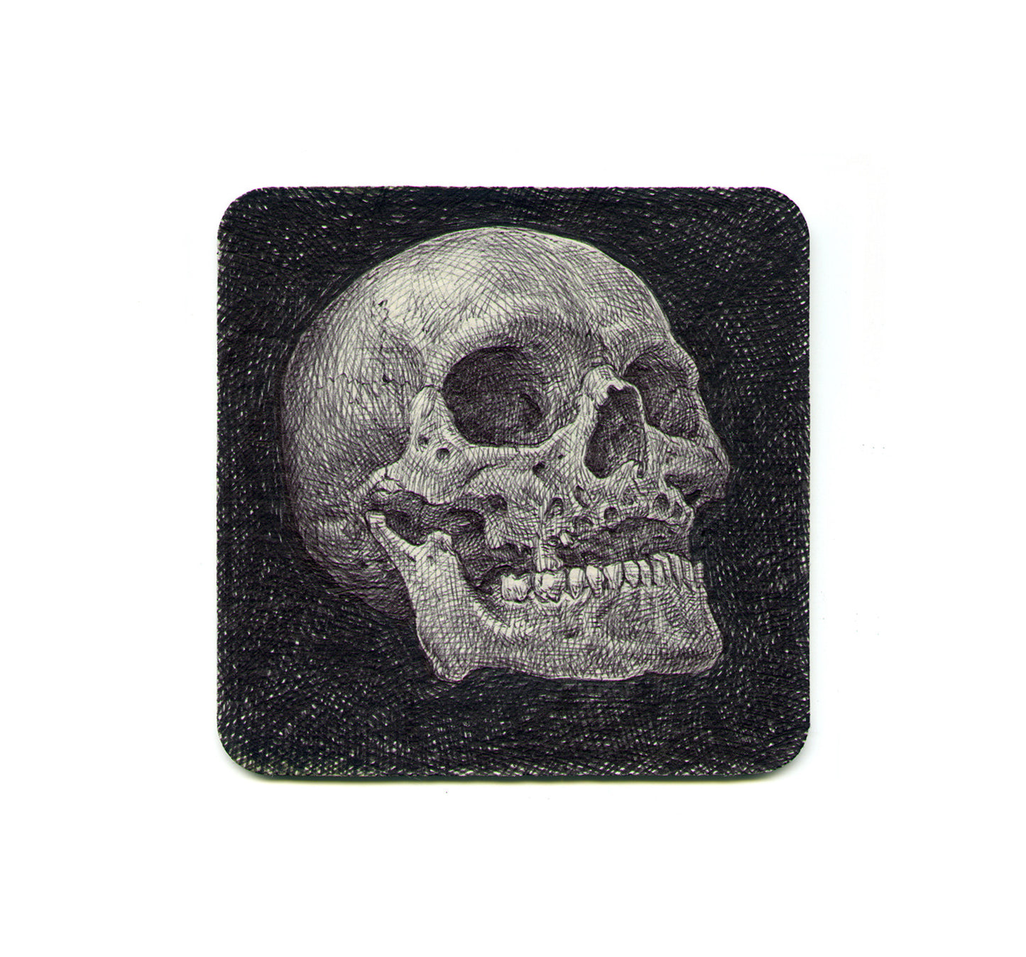 S2 Guno Park - Vanitas III Coaster