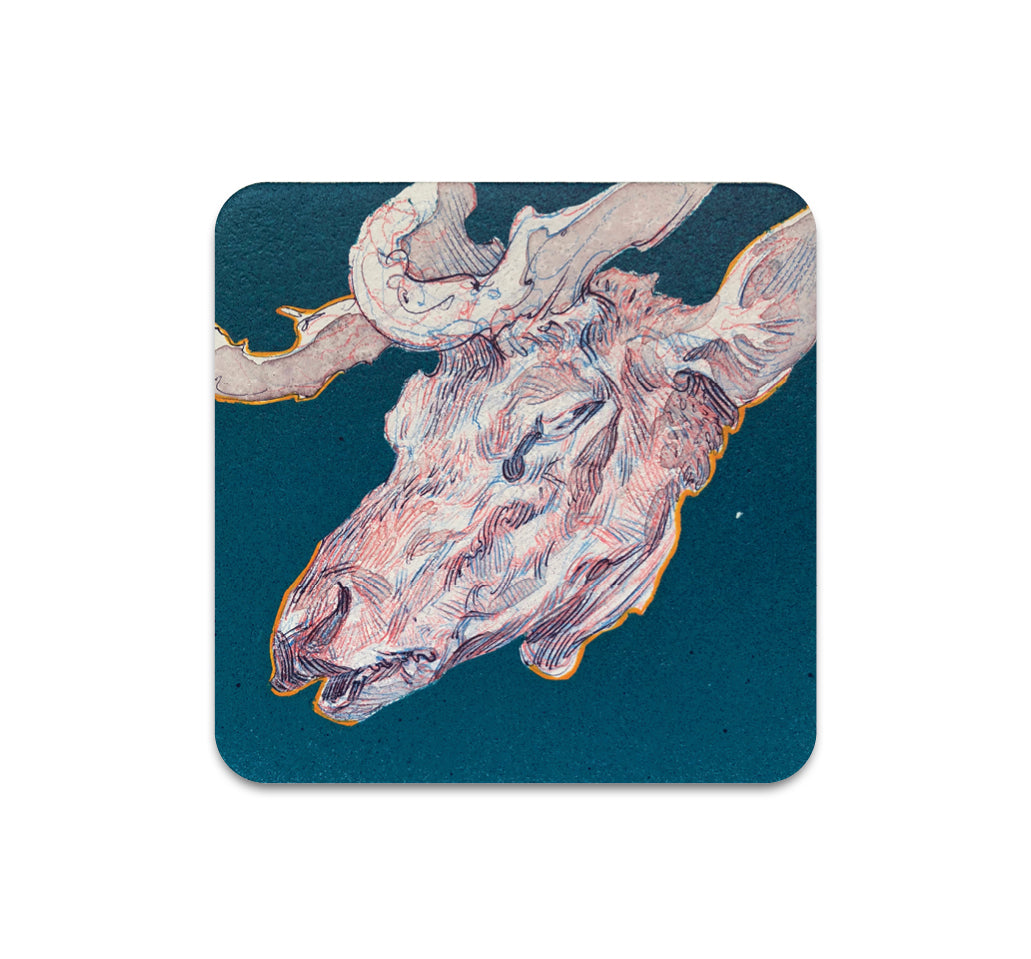 S3 Hermann Mejia - Cabeza De Venado Coaster