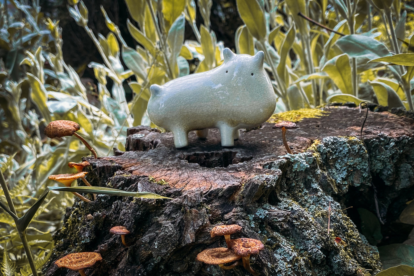 Kozy Kitchens - Hino Haru