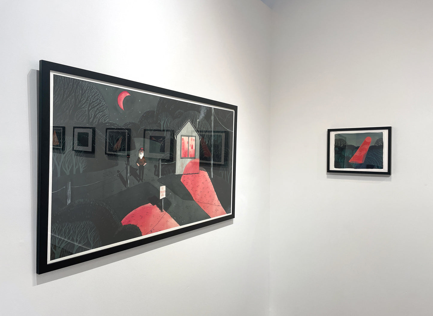 Matt Schu - Forest Spotlight