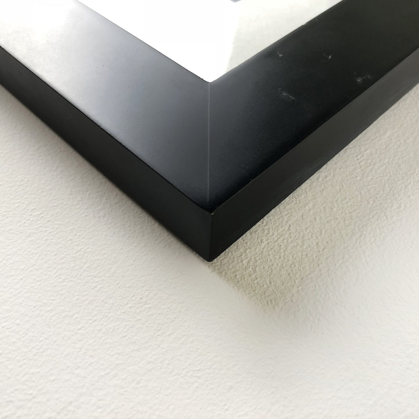 Sam Wolfe Connelly - Sardines