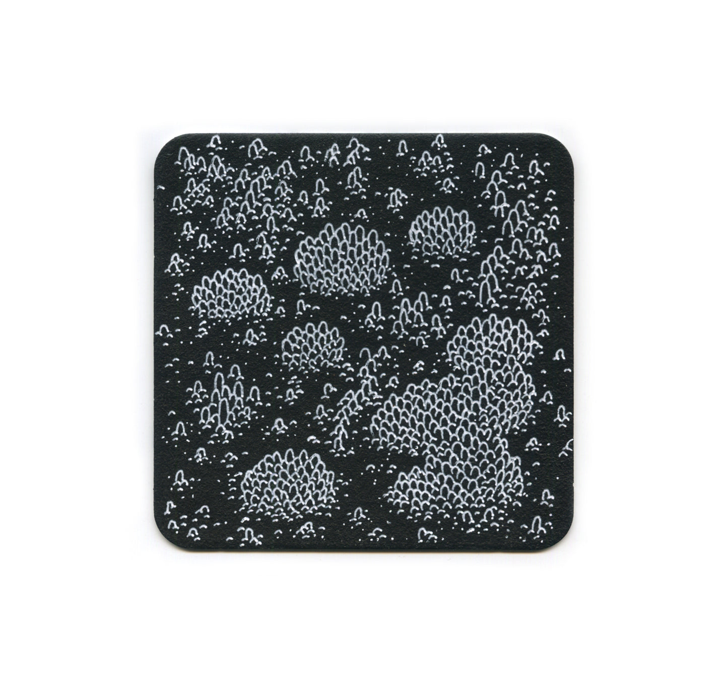 S2 Jeff Sheridan - Map 1 Coaster