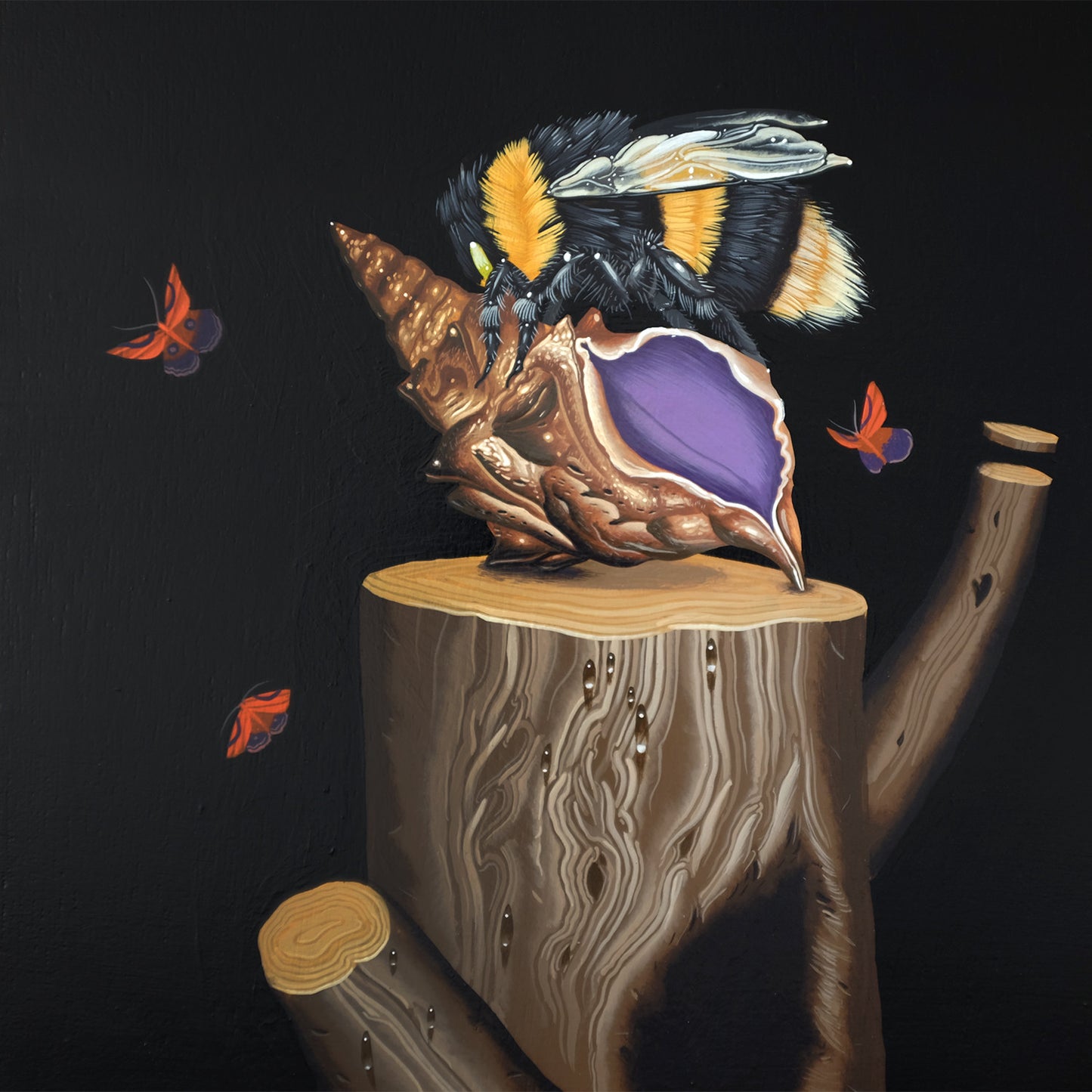 ケイン・コカリス - エクソダス 2