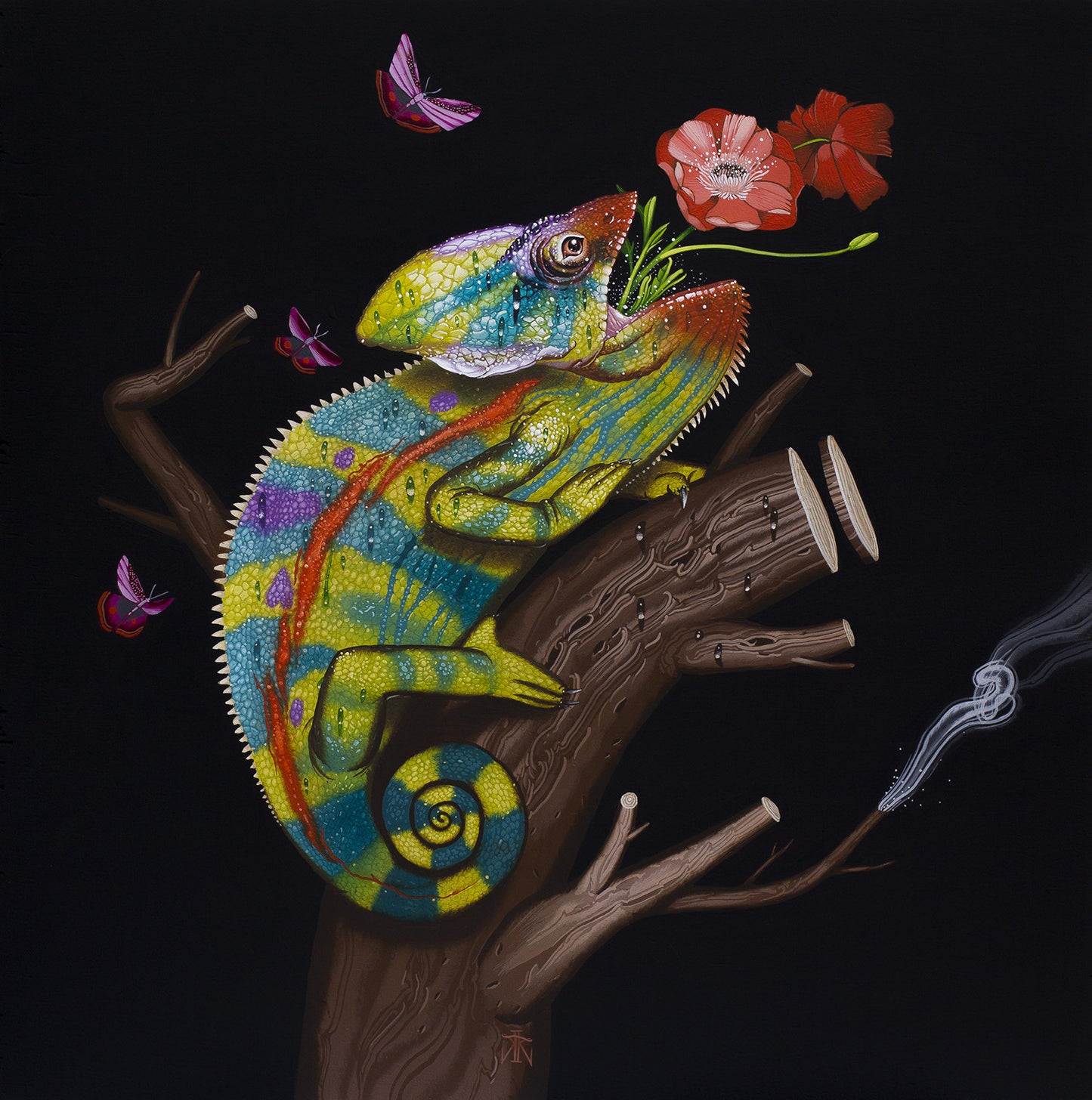 Kane Kokaris - Effloresce