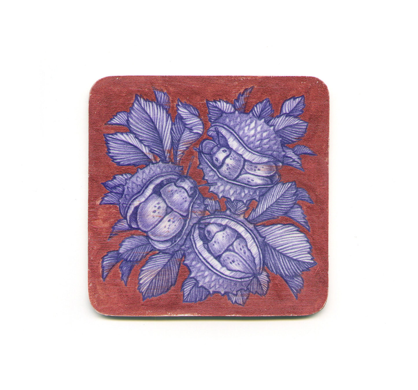 S1 Kate O Hara - Vermilion Coaster