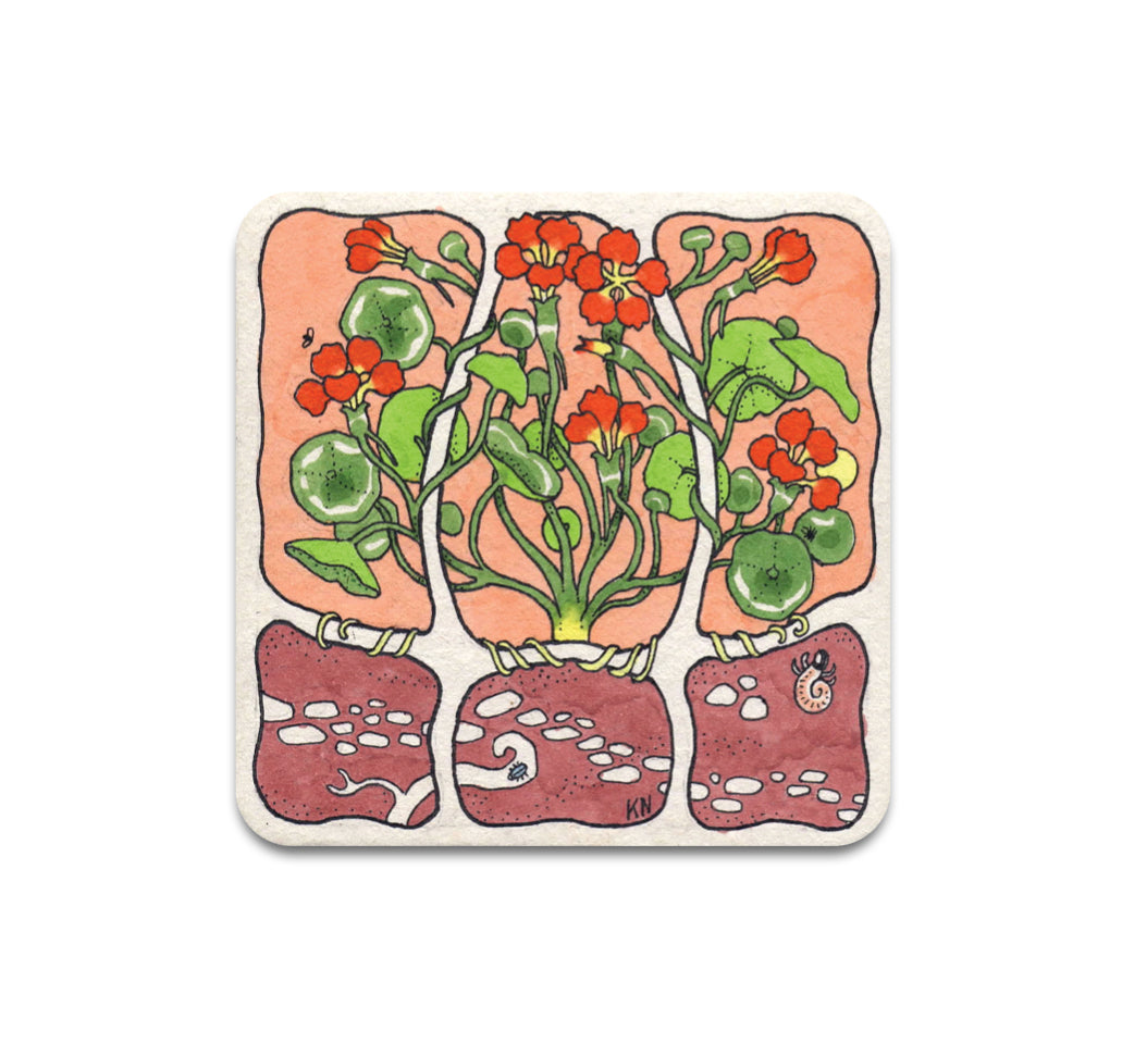 S3 キャスリーン・ニーリー - モンクス・クレス・コースター