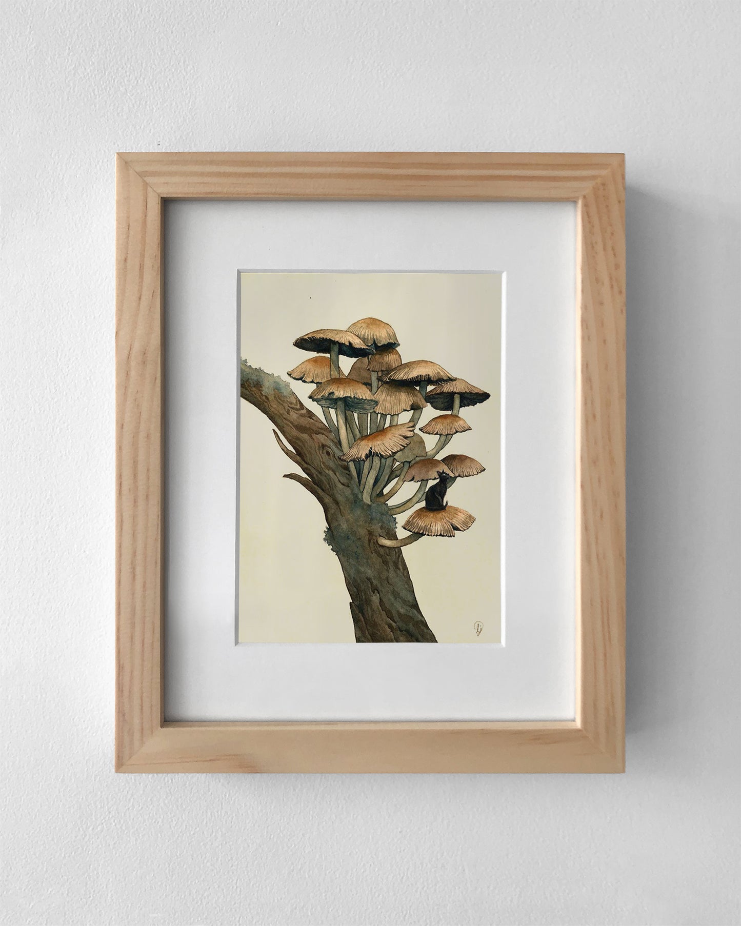 Lily Seika Jones - Aster