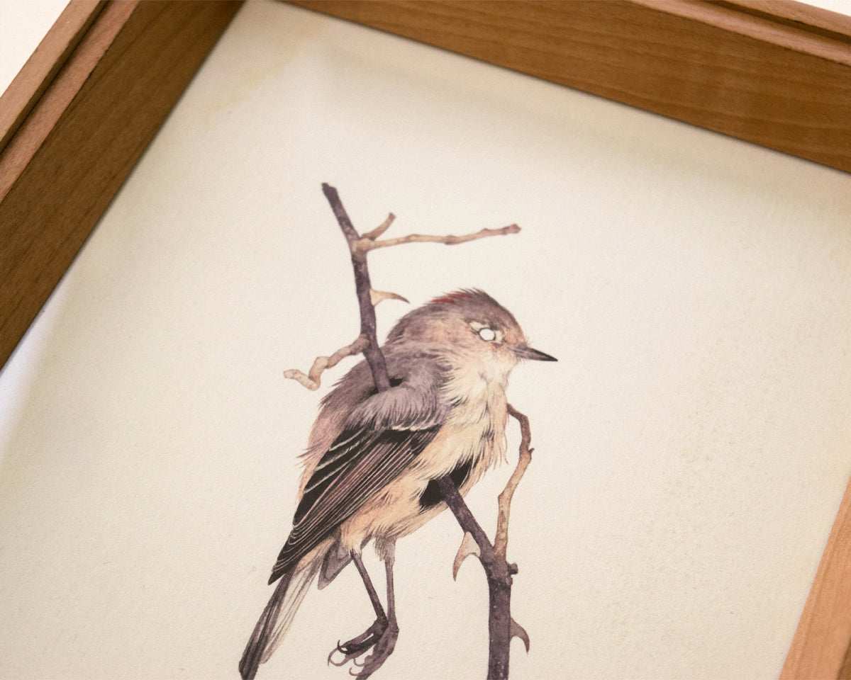 ティーガン・ホワイト - ラメント