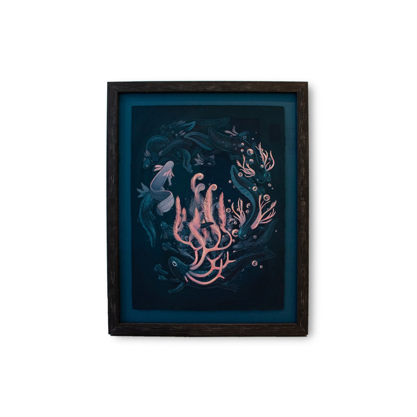 Faunwood - Life Cycle of the Shroud Salamander