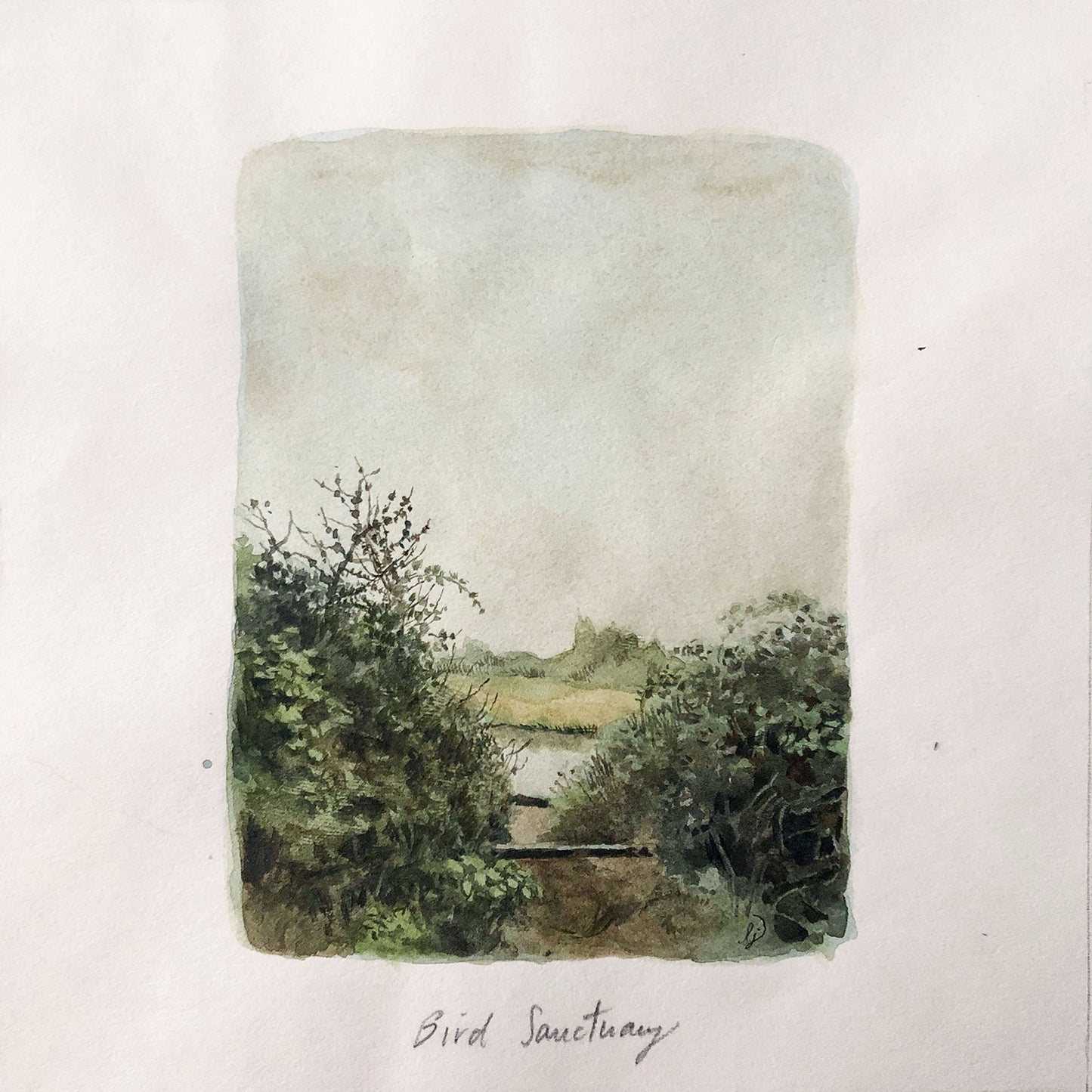 Lily Seika Jones - Study of the Bird Sanctuary