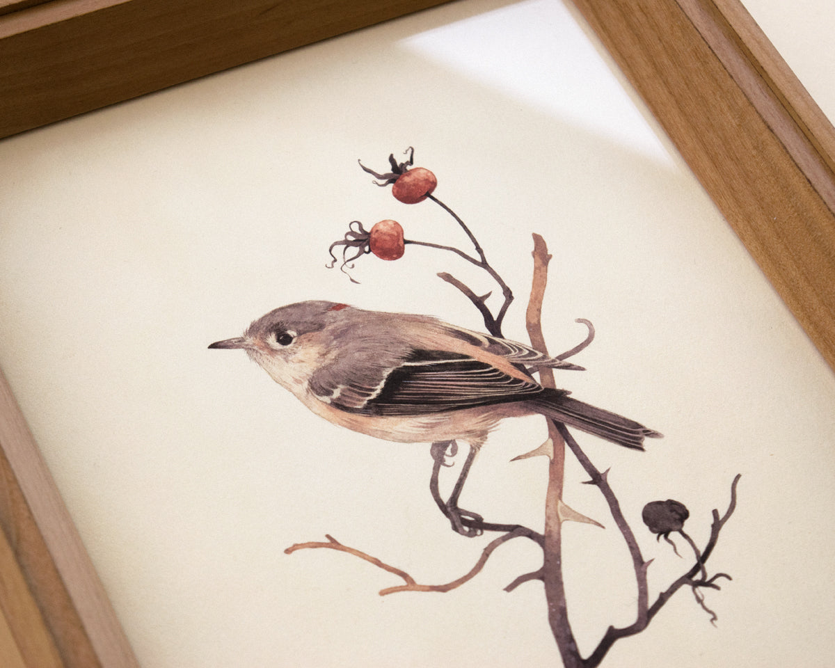 Teagan White - Linger