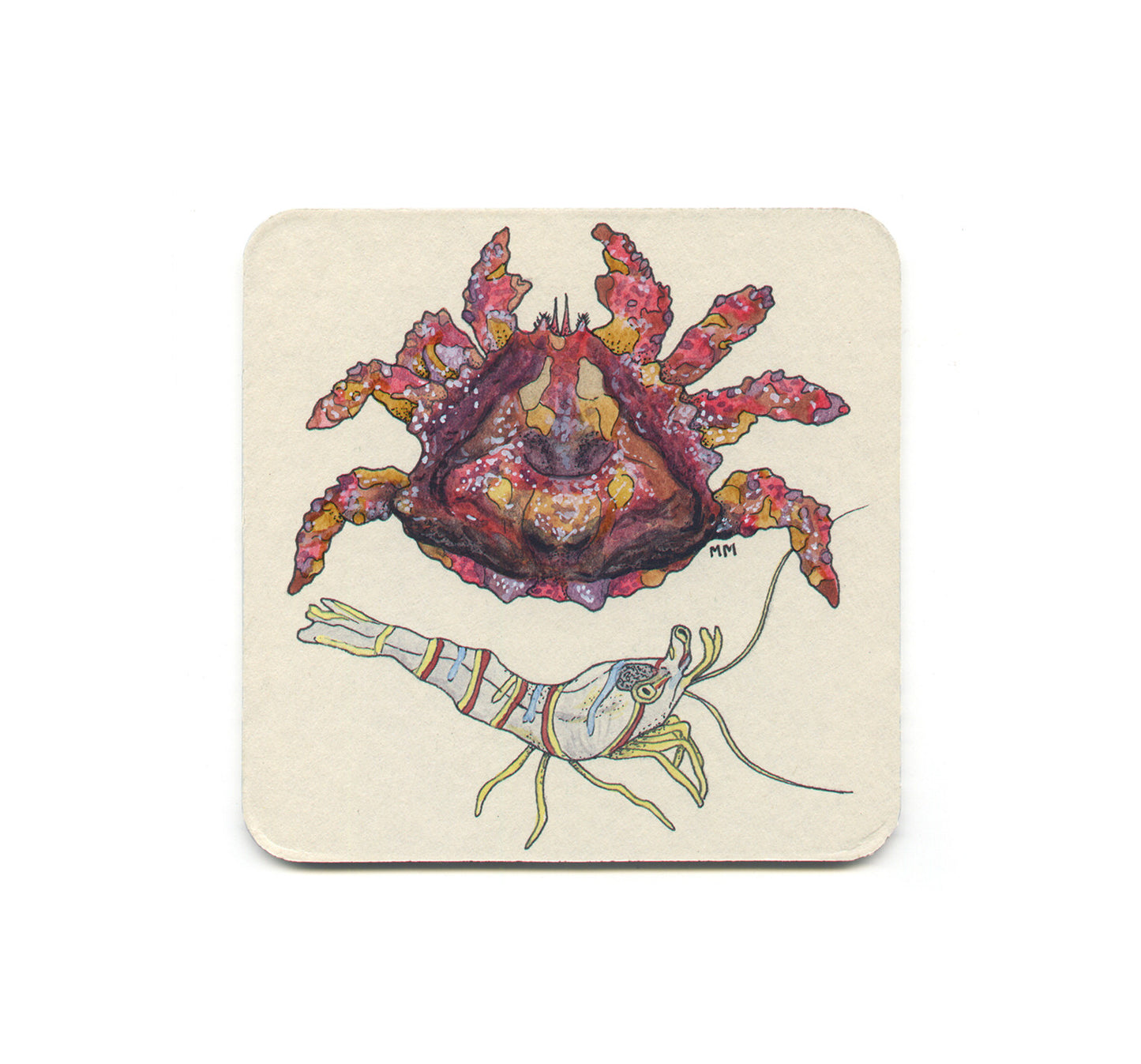 S1 Madison Erin Mayfield - Puget Sound King Crab & Candy Stripe Shrimp Coaster