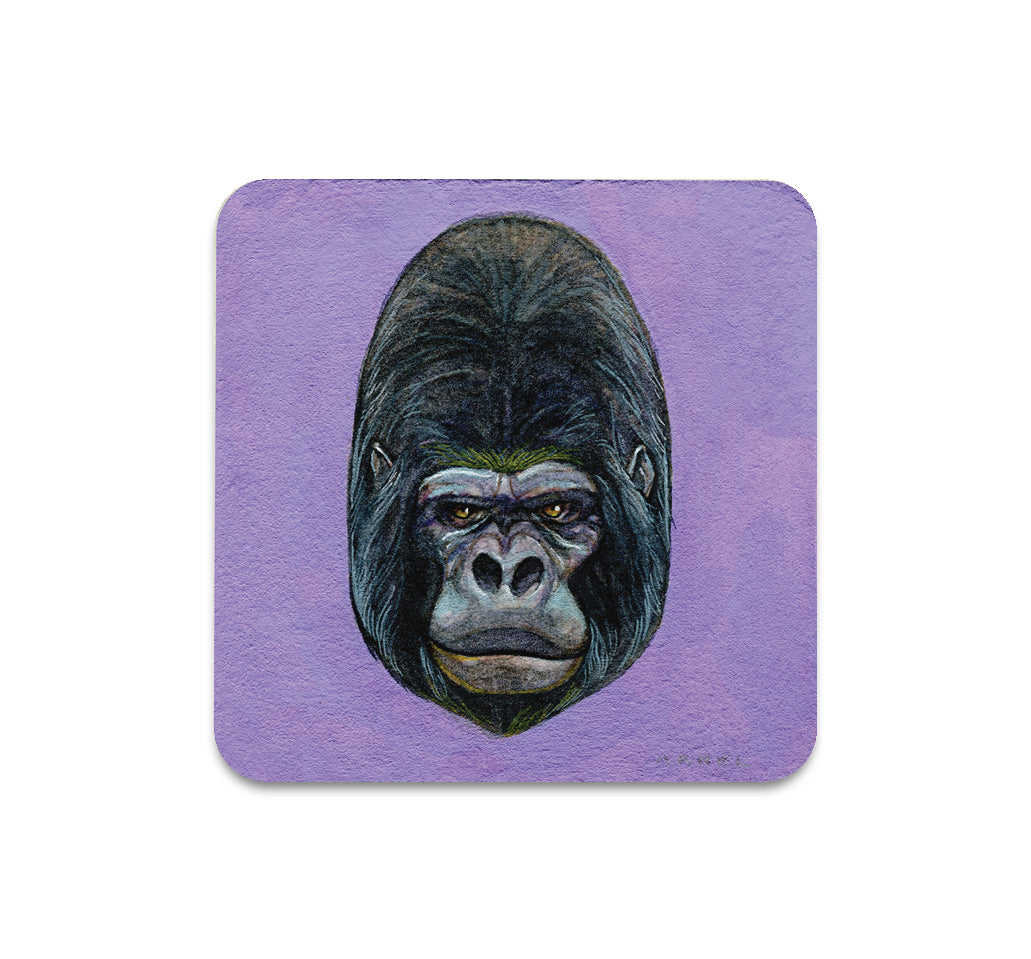 S3 Ninjabot - Untitled 2 Coaster