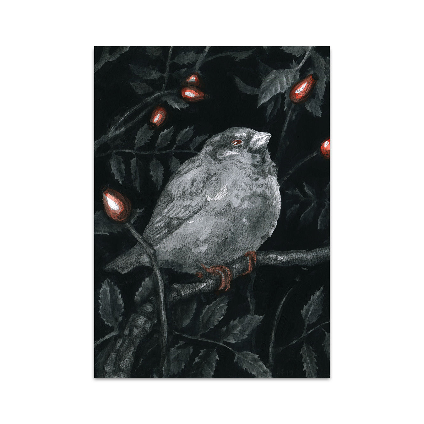 P5 Jana Heidersdorf - 3 Postcard