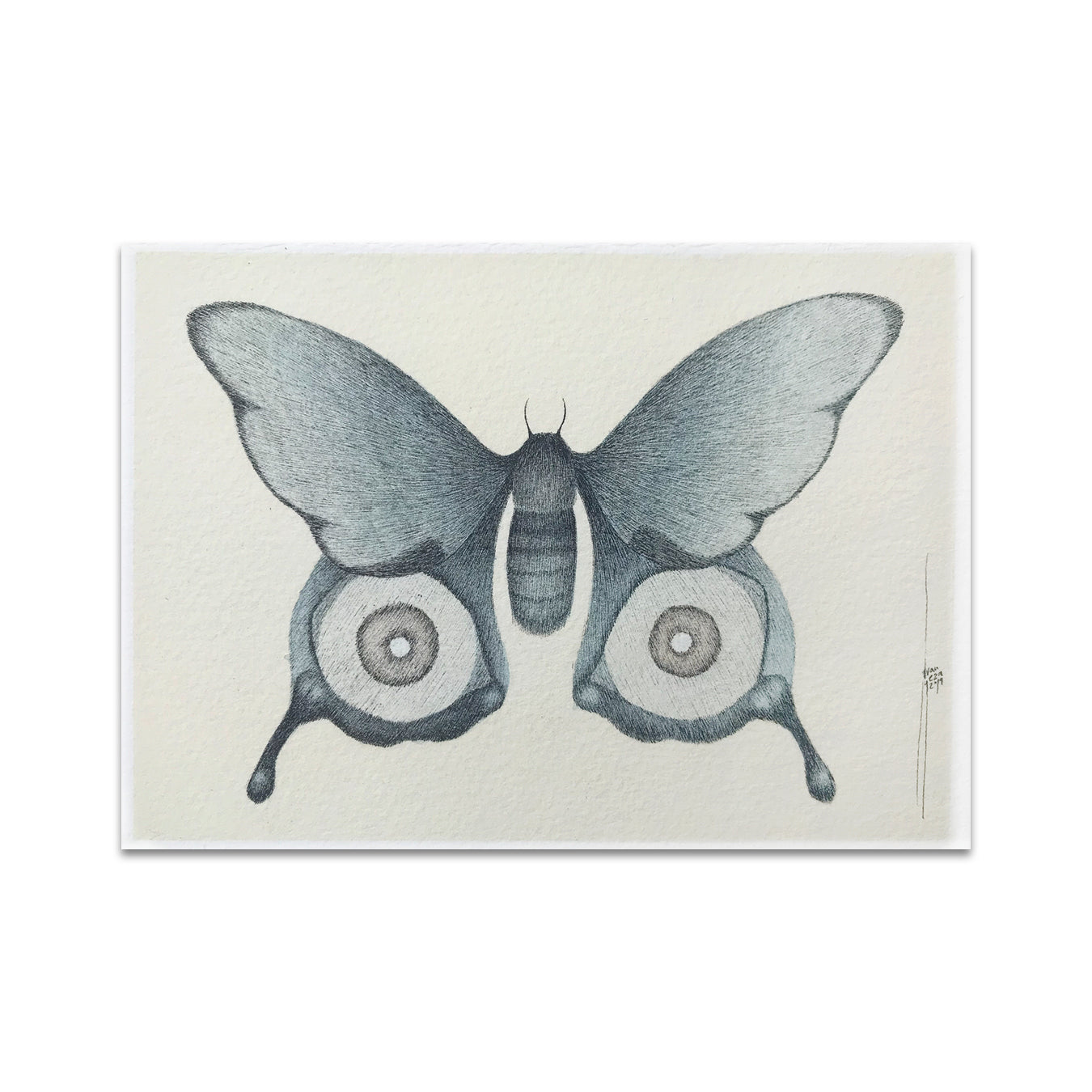 P5 Juan Ramón Meza Rivadeneira - 3 Postcard