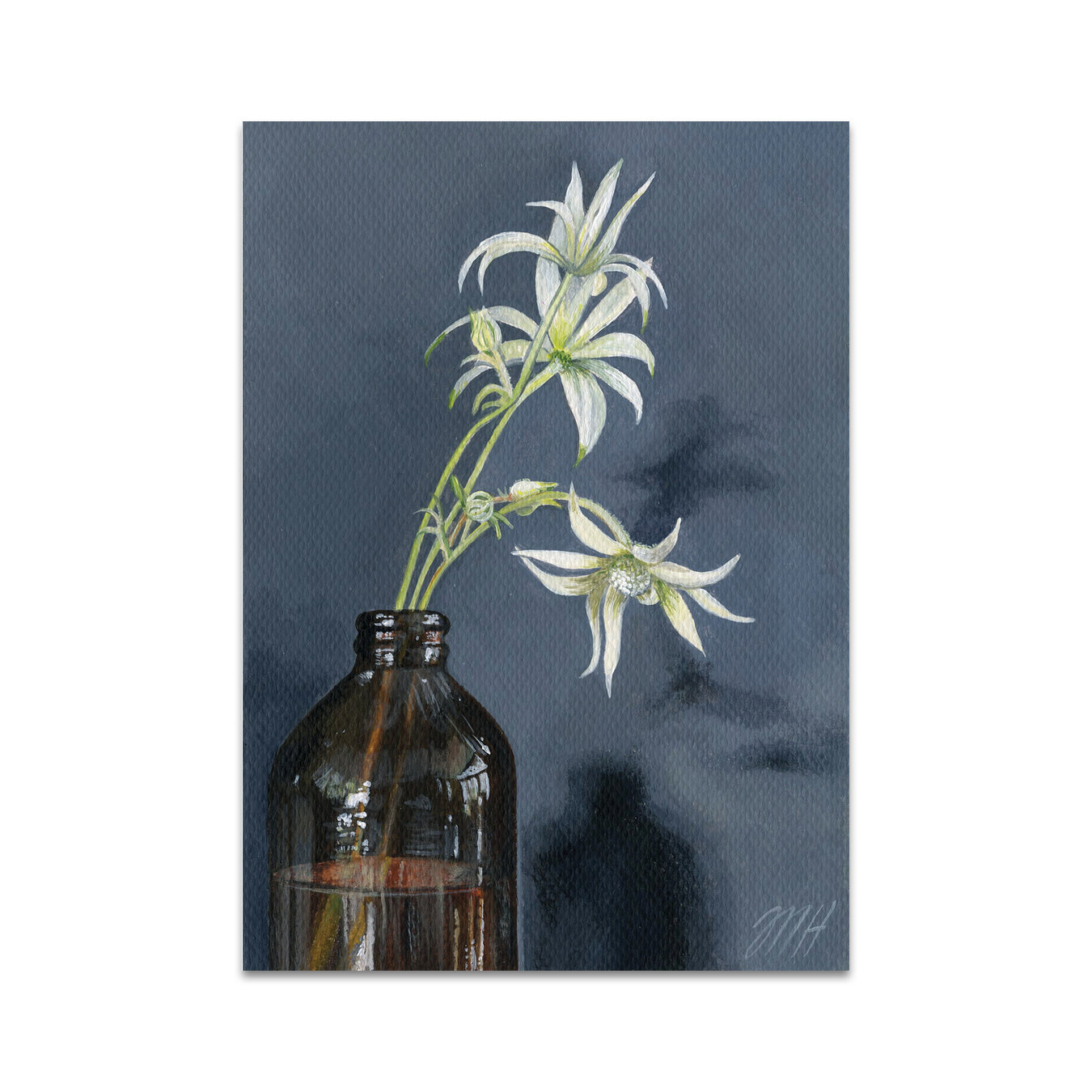 P5 Melissa Hartleyl - 2 Postcard