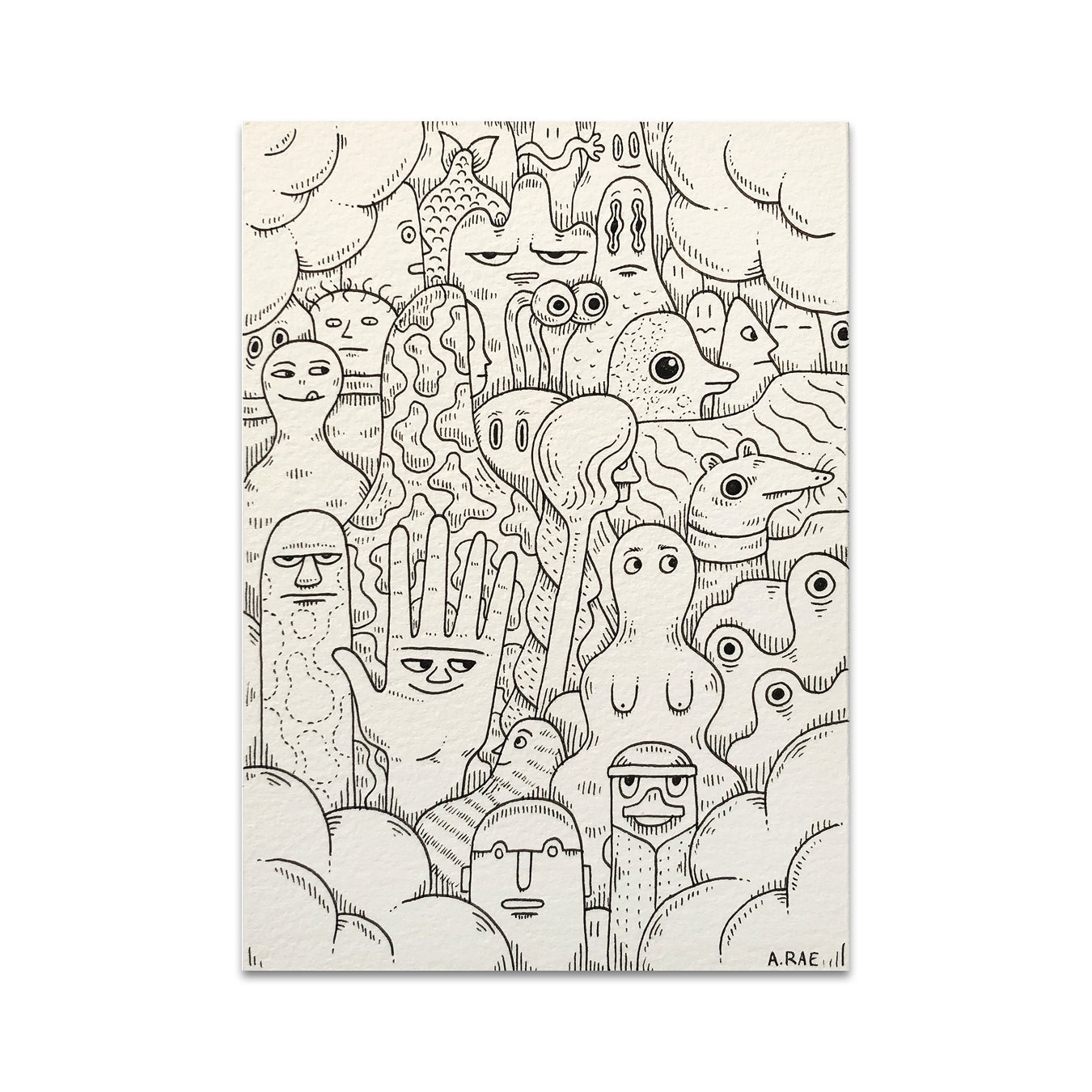 P5 Andrew Rae - 4 Postcard