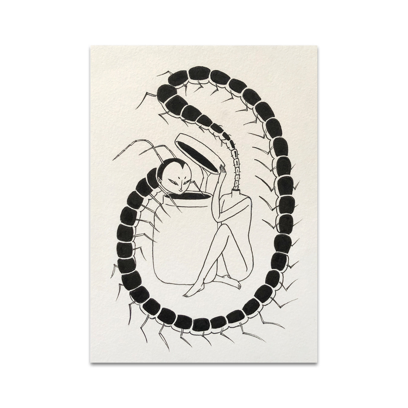 P5 Muertosruz - 2 Postcard