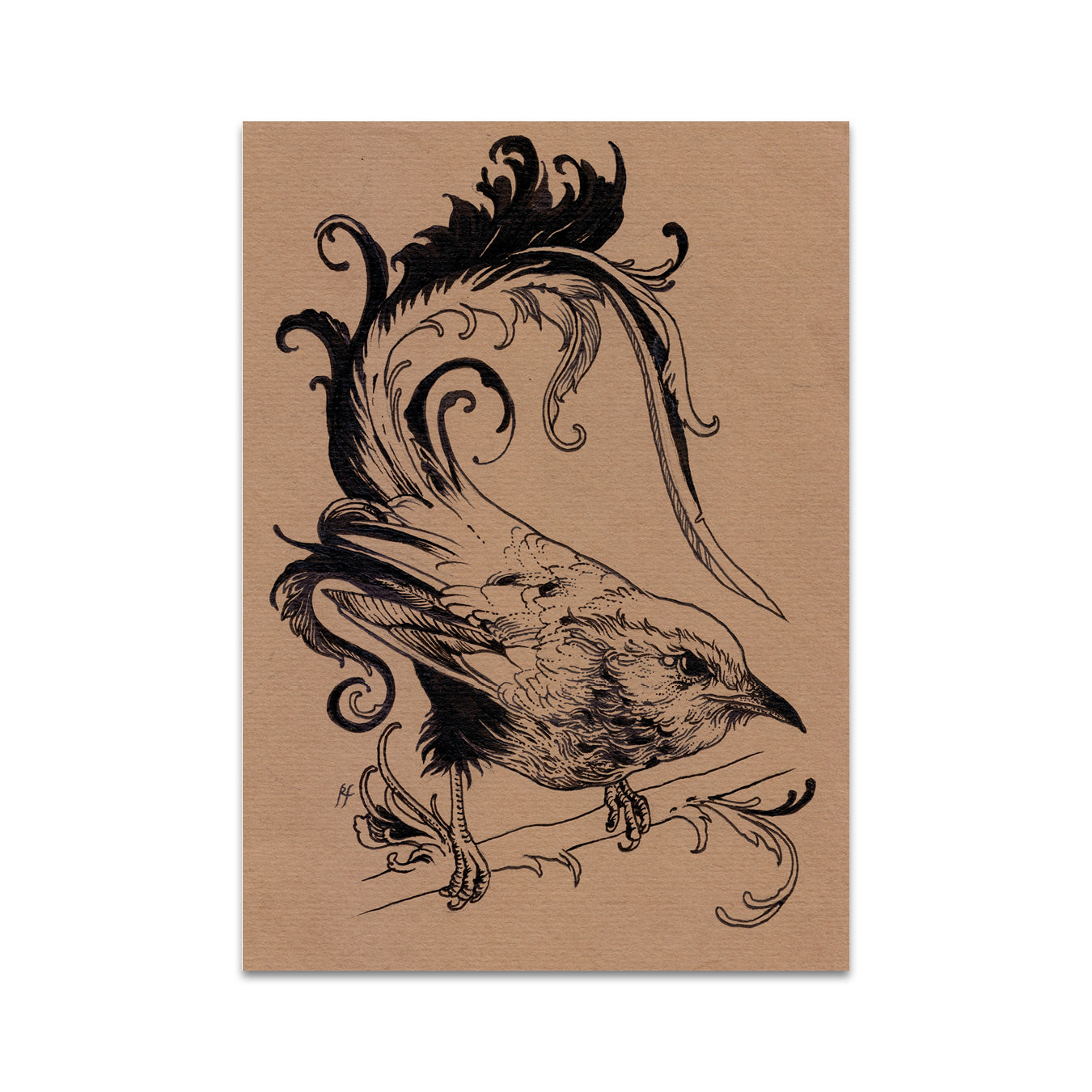 P5 Rotten Fantom - 3 Postcard