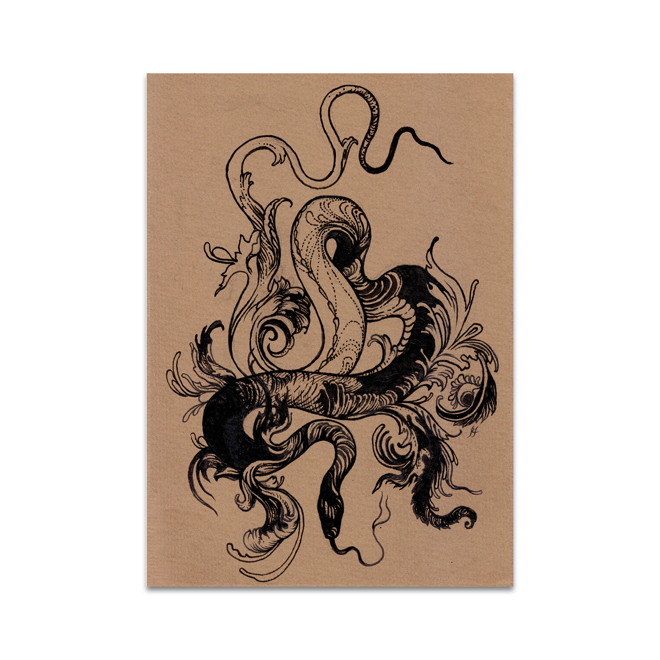 P5 Rotten Fantom - 2 Postcard