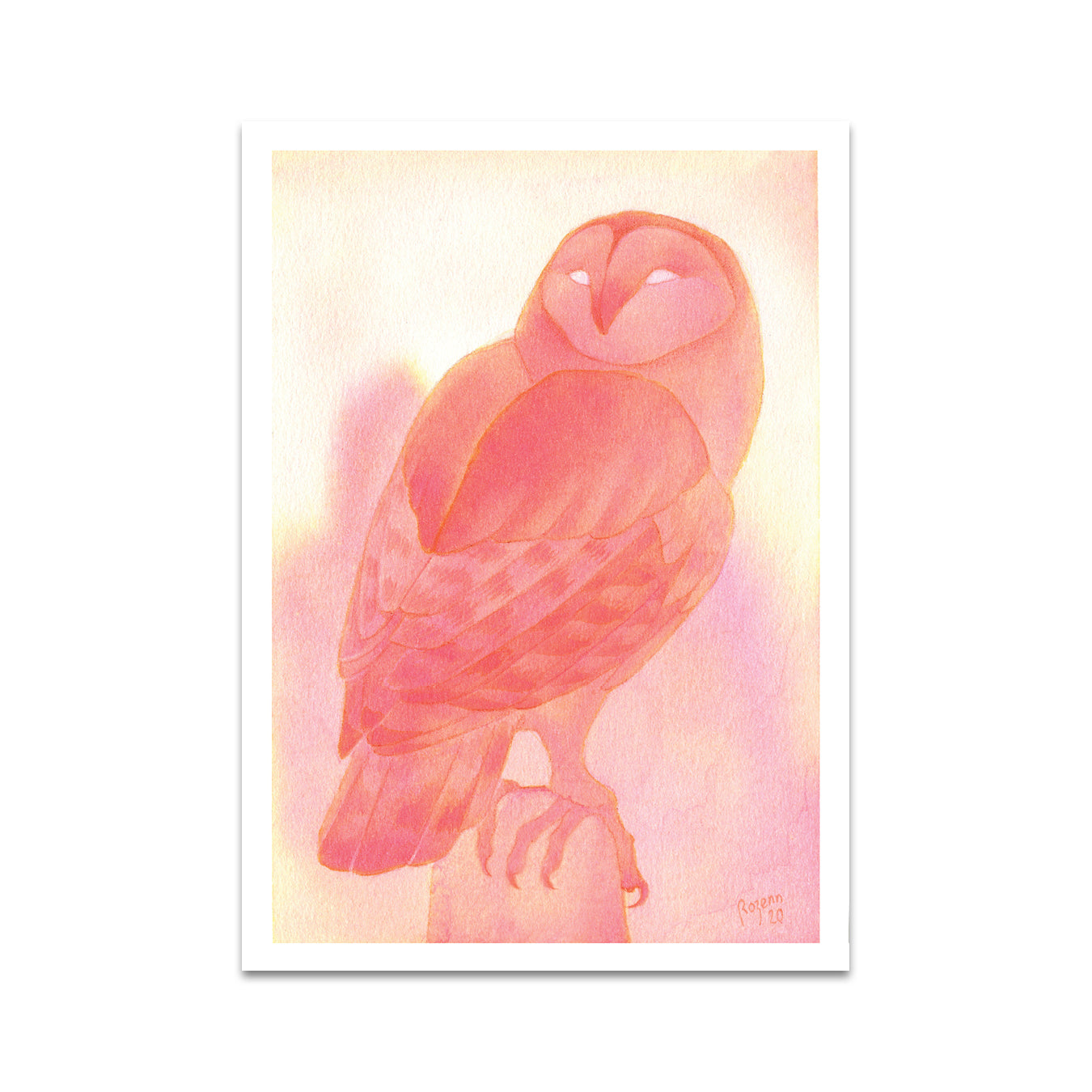 P5 Rozenn - 2 Postcard