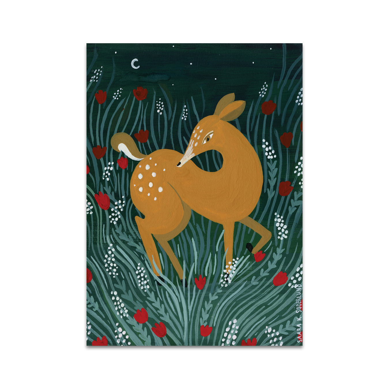 P5 Saara Katariina Söderlund - 1 Postcard