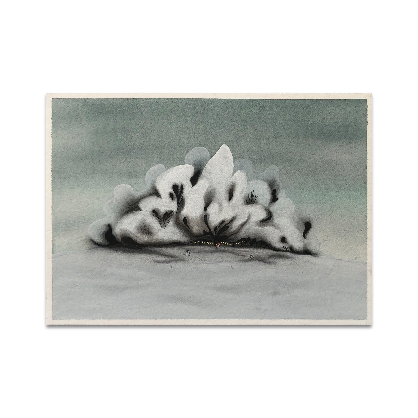 P5 Carolina T. Godina Ciria - 4 Postcard