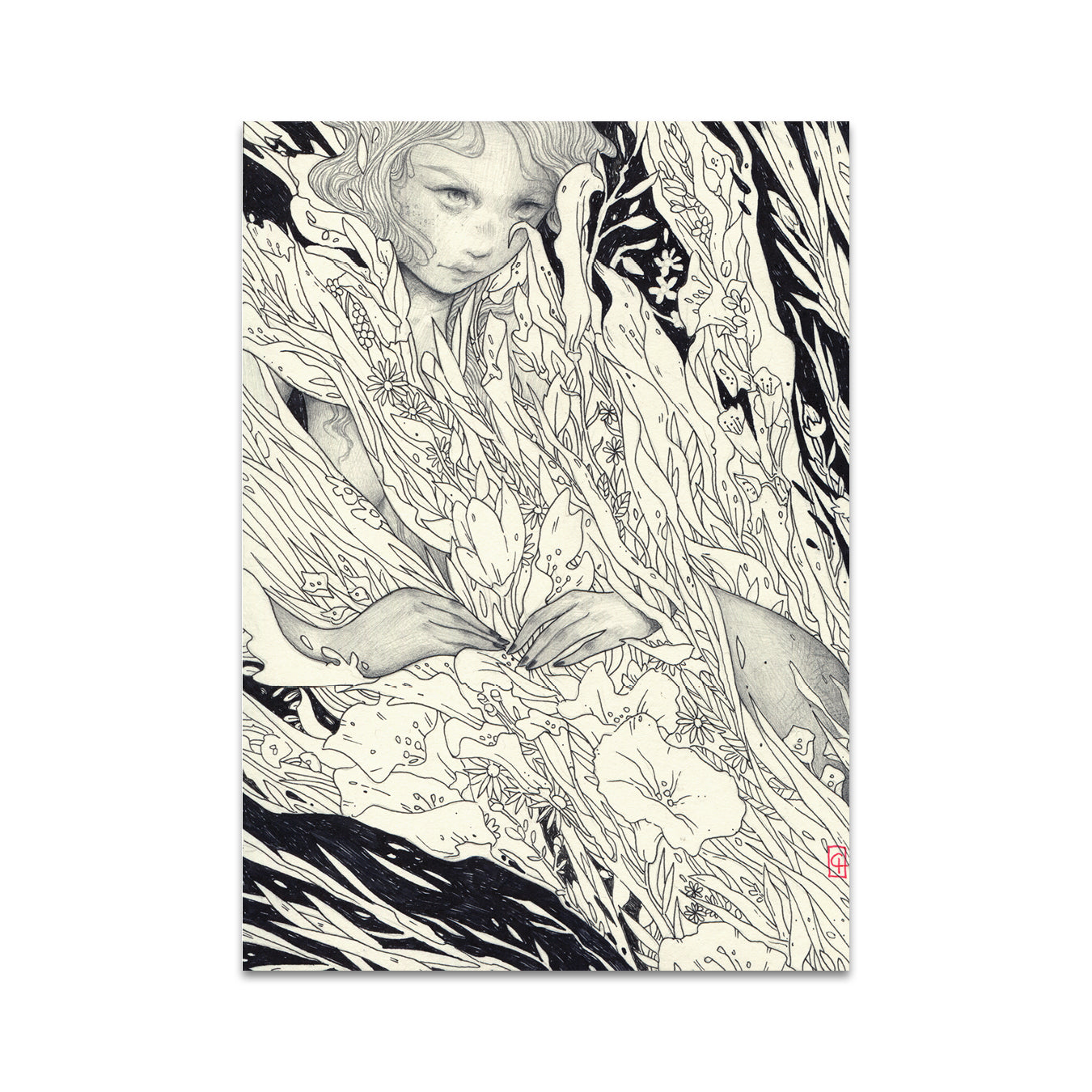 P5 シャンタル・ホレイス - ポストカード 2 枚