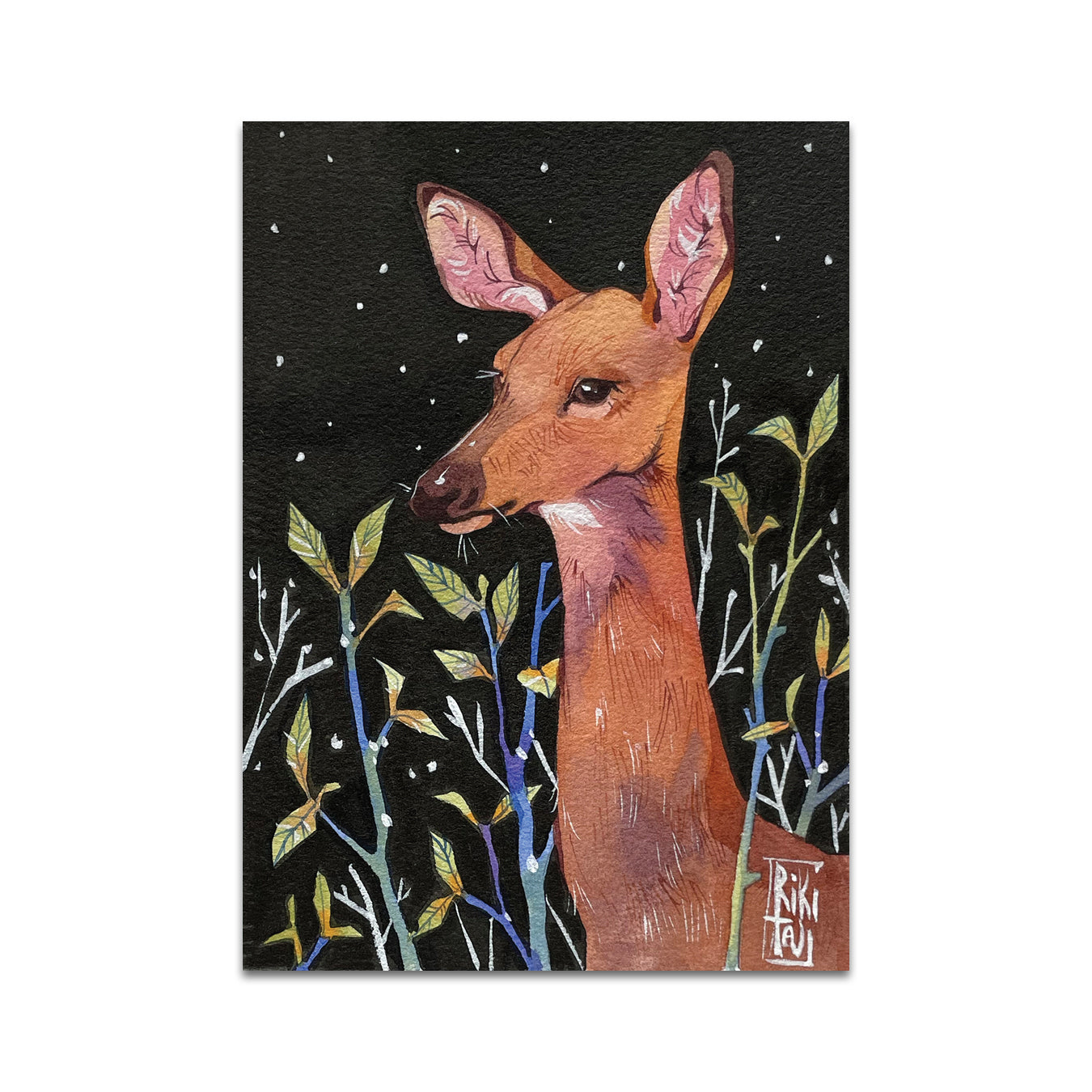 P6 Rikibeztiki - Postcard 2