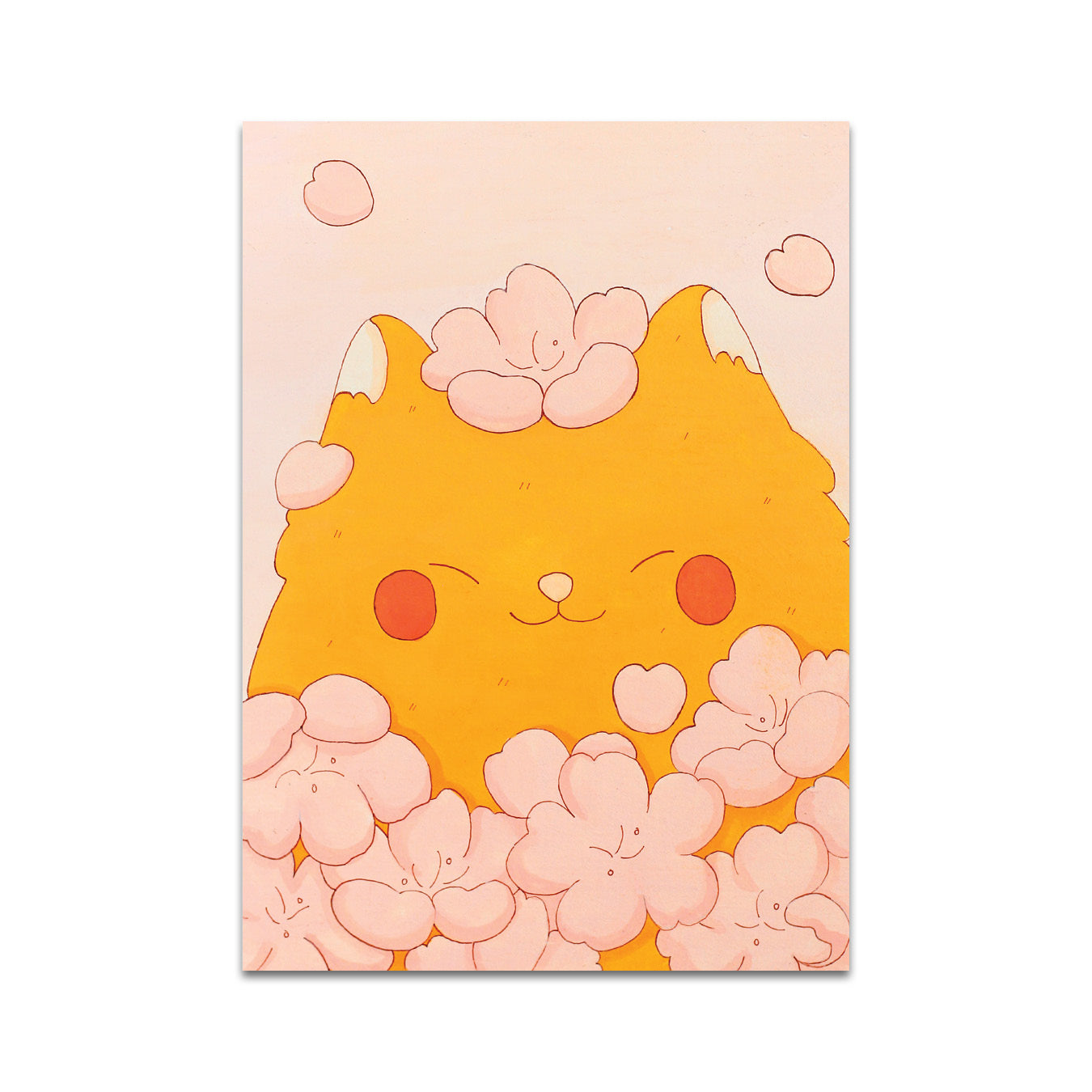 P7 - Apricot Mayor Postcard 5