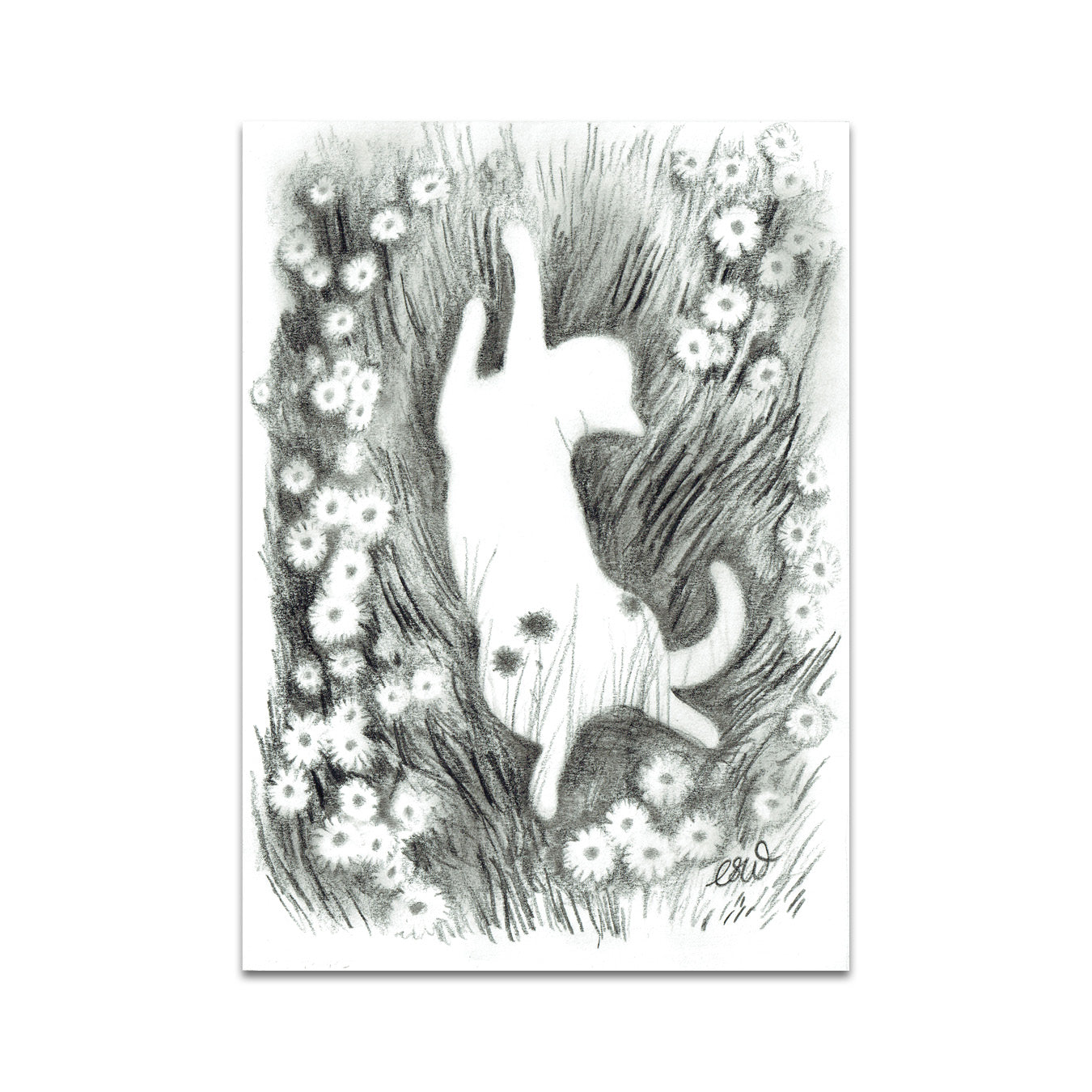 P7 - Camille Whitcher Postcard 1