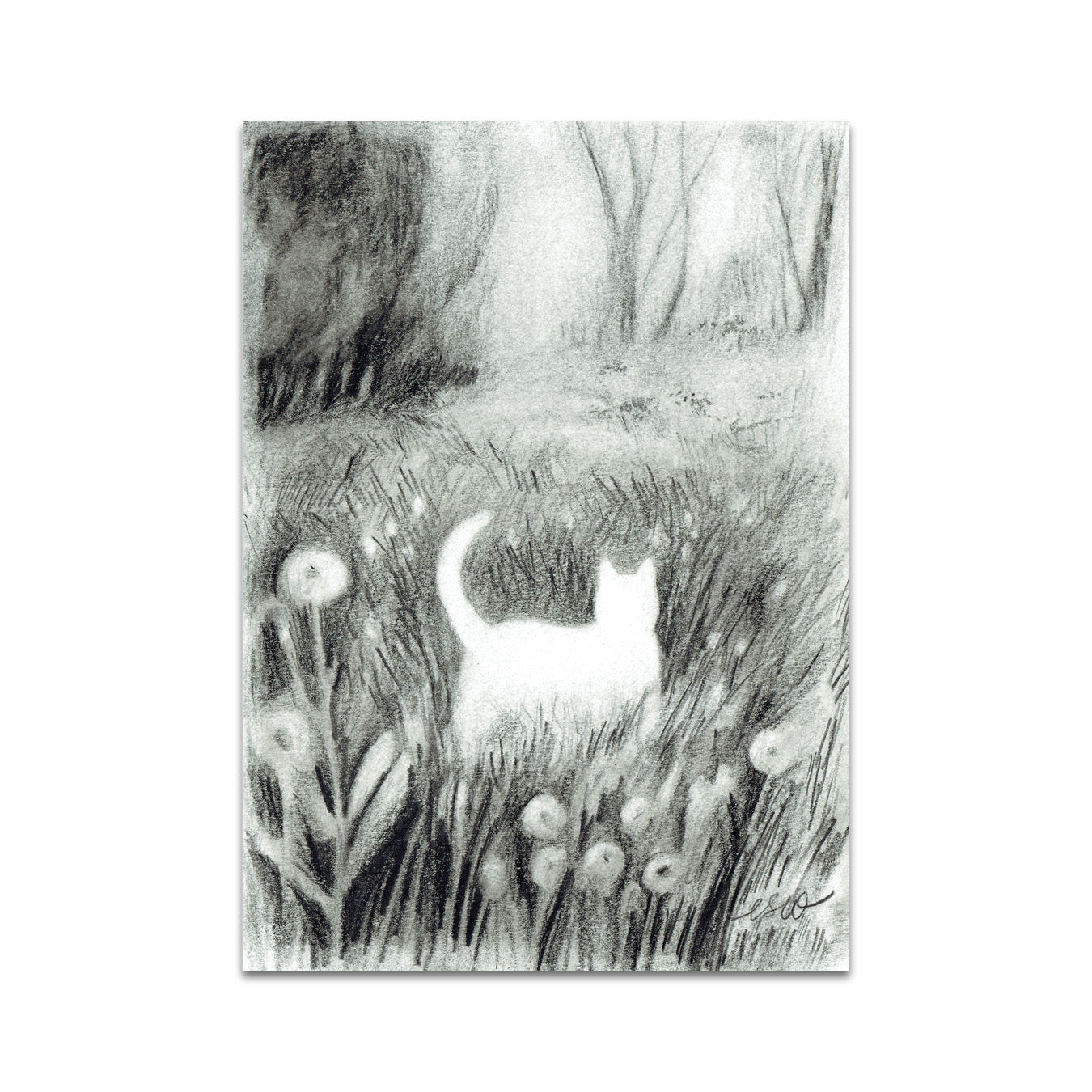 P7 - Camille Whitcher Postcard 2