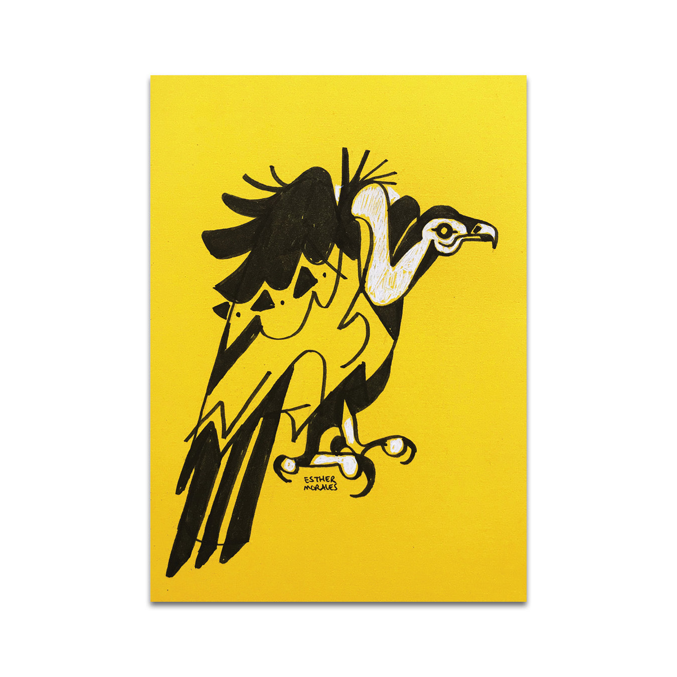 P7 - エスター・モラレス ポストカード 3