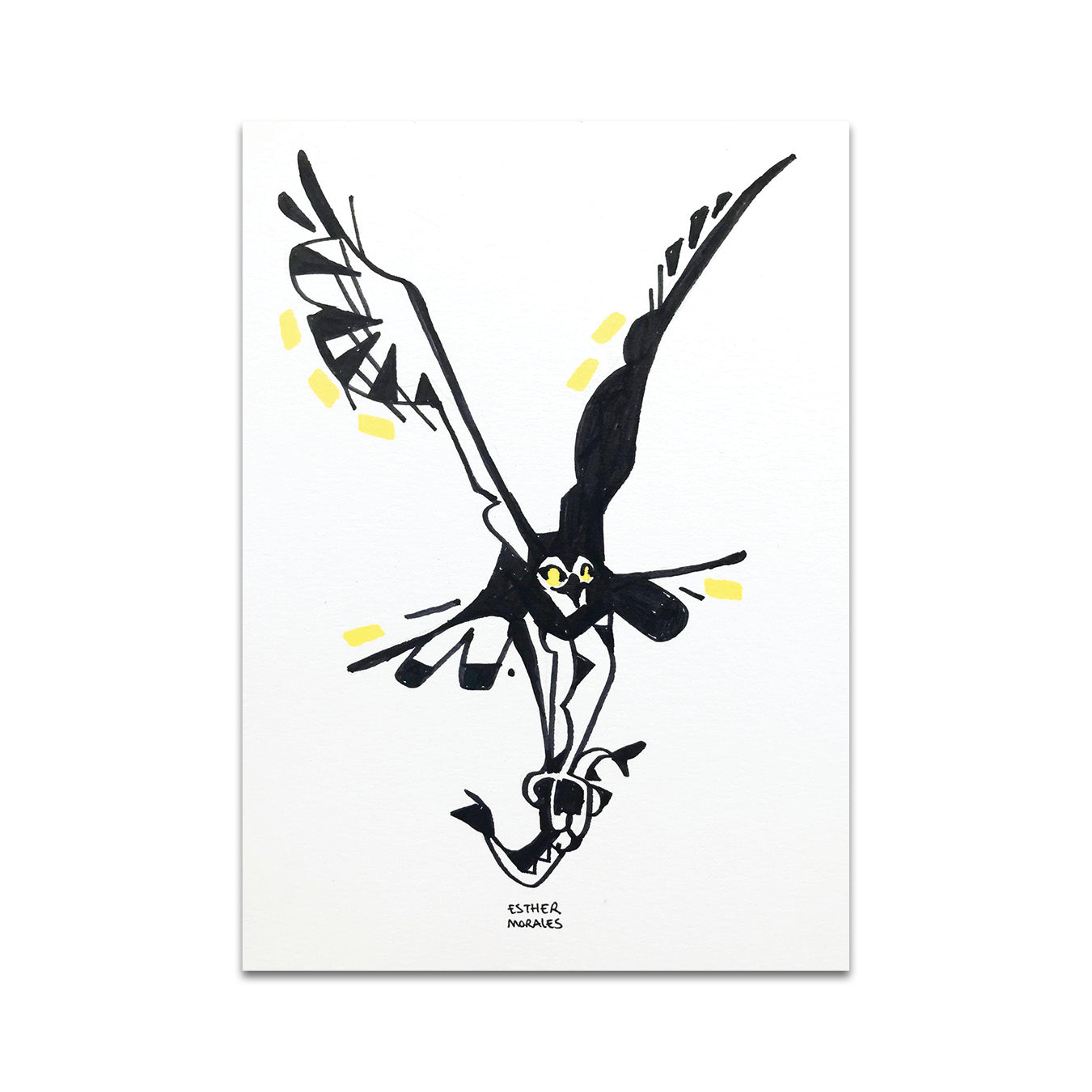 P7 - エスター・モラレス ポストカード 4