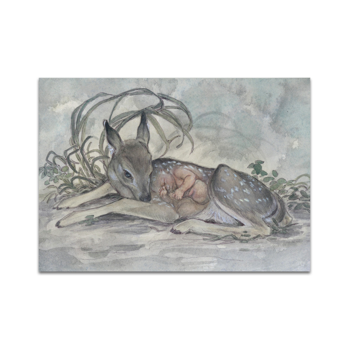 P7 - Hope Doe Postcard 1