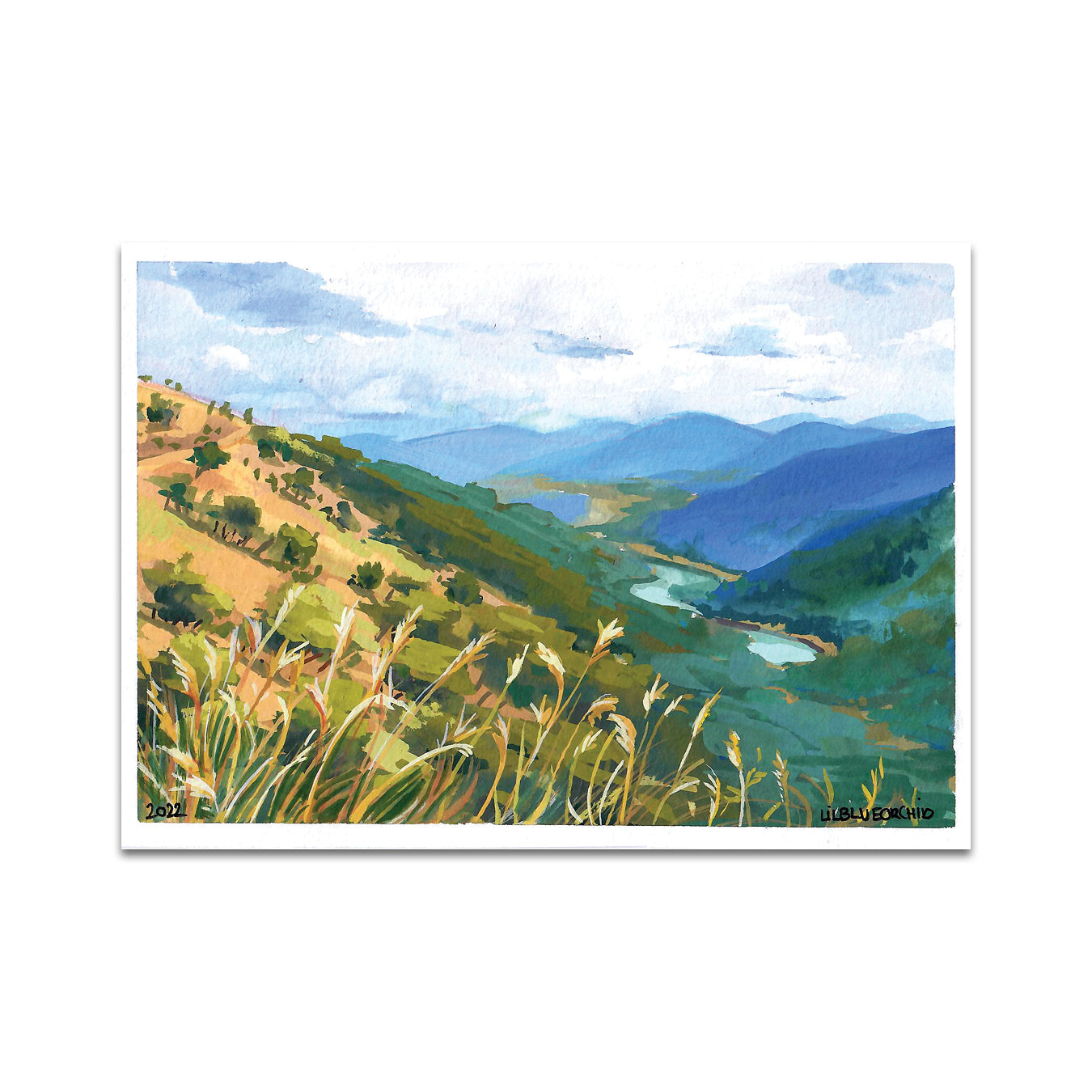 P7 - リルブルーオーキッドポストカード3