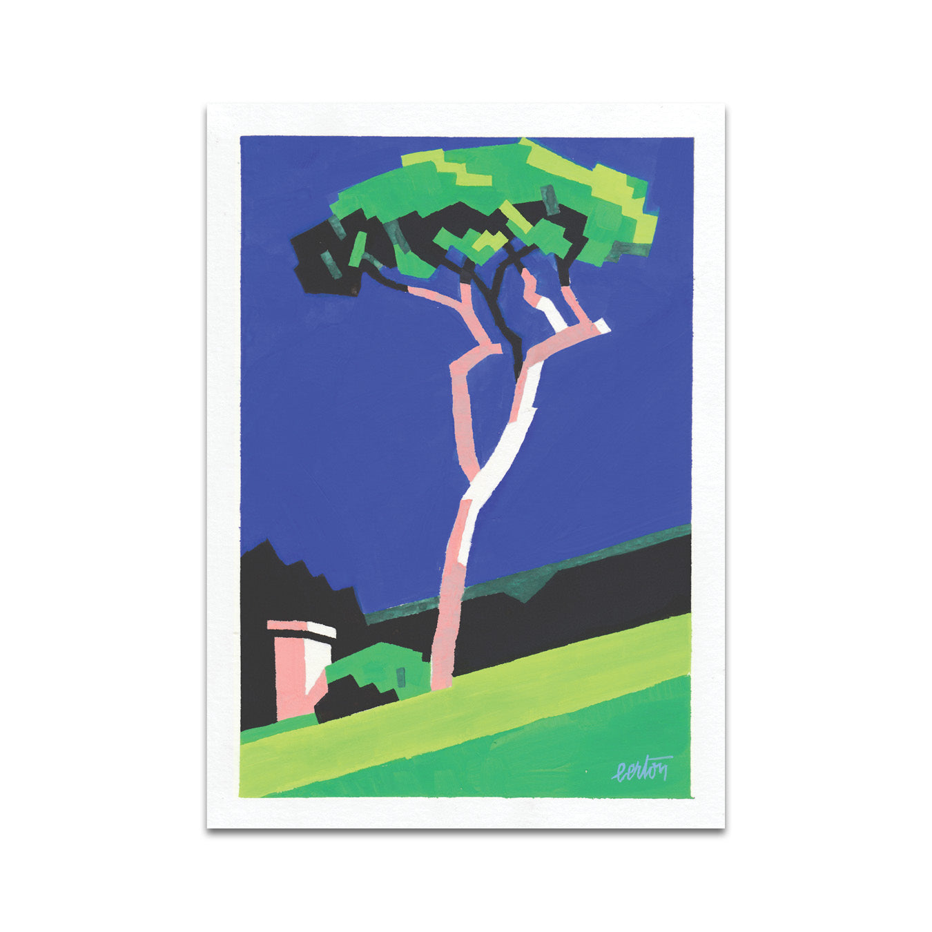 P7 - Matteo Berton Postcard 2